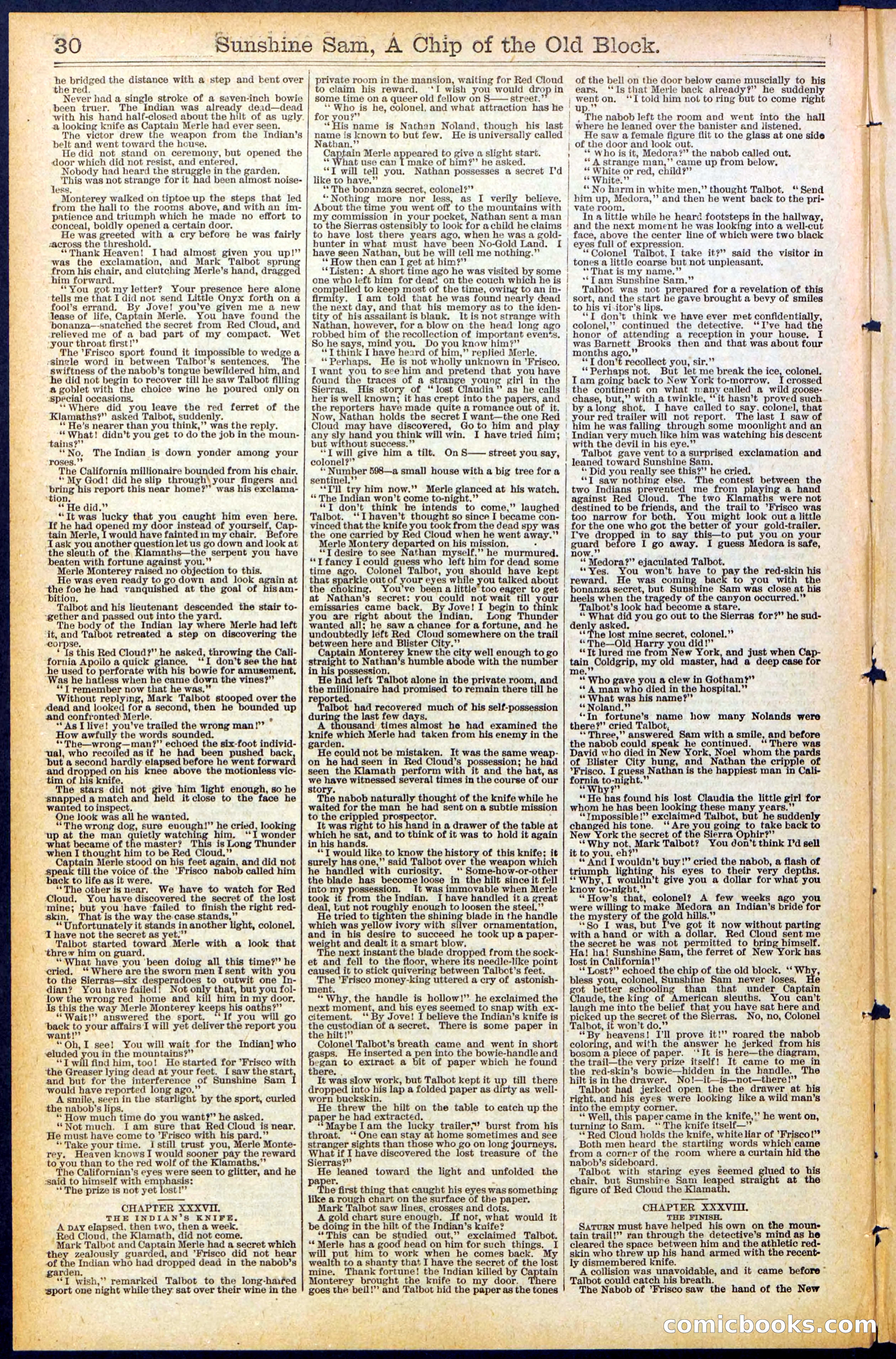 Beadle's New York Dime Library No. 487 — page 30 of 32