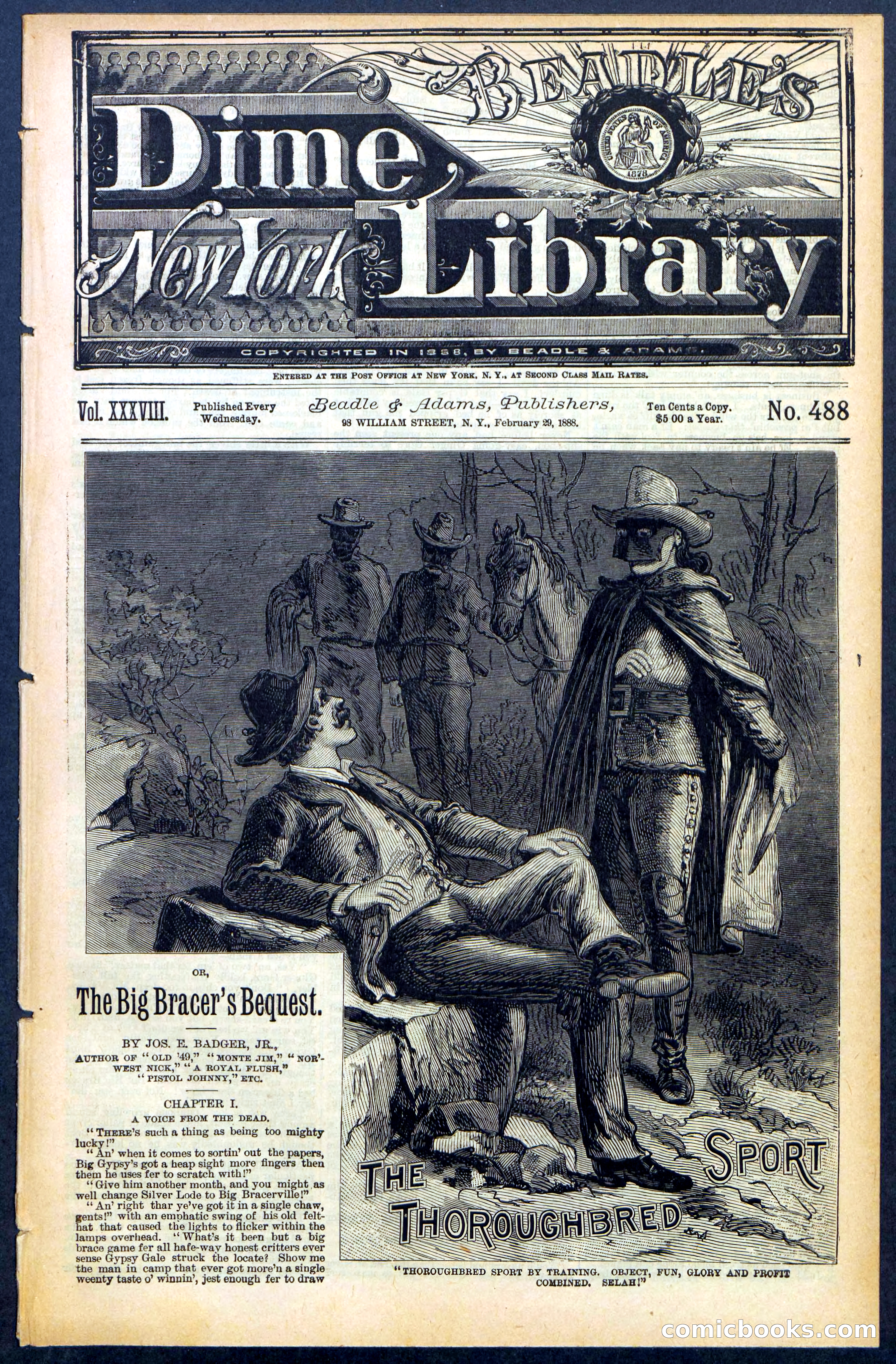Beadle's New York Dime Library No. 488 — page 1 of 32