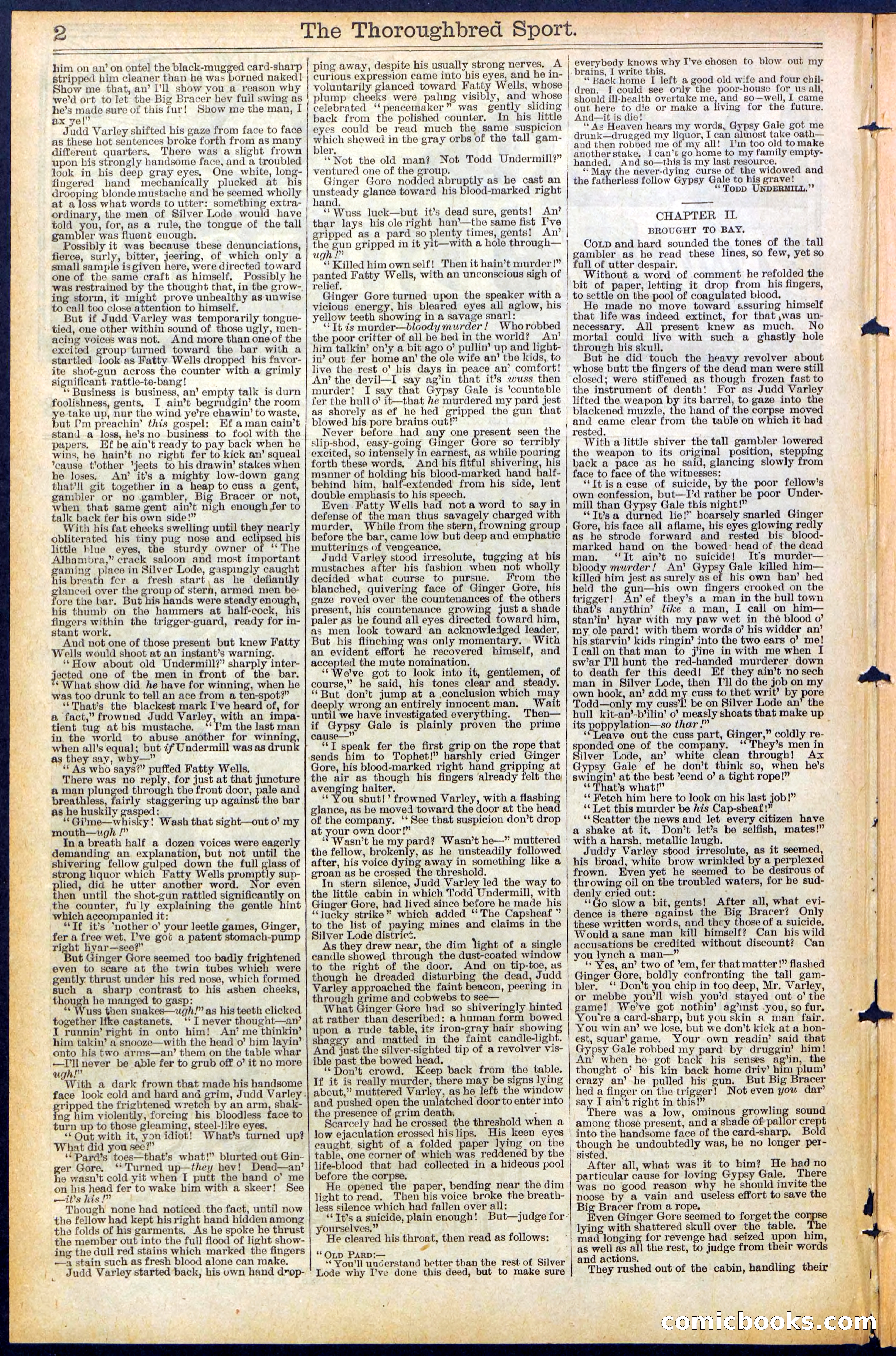 Beadle's New York Dime Library No. 488 — page 2 of 32