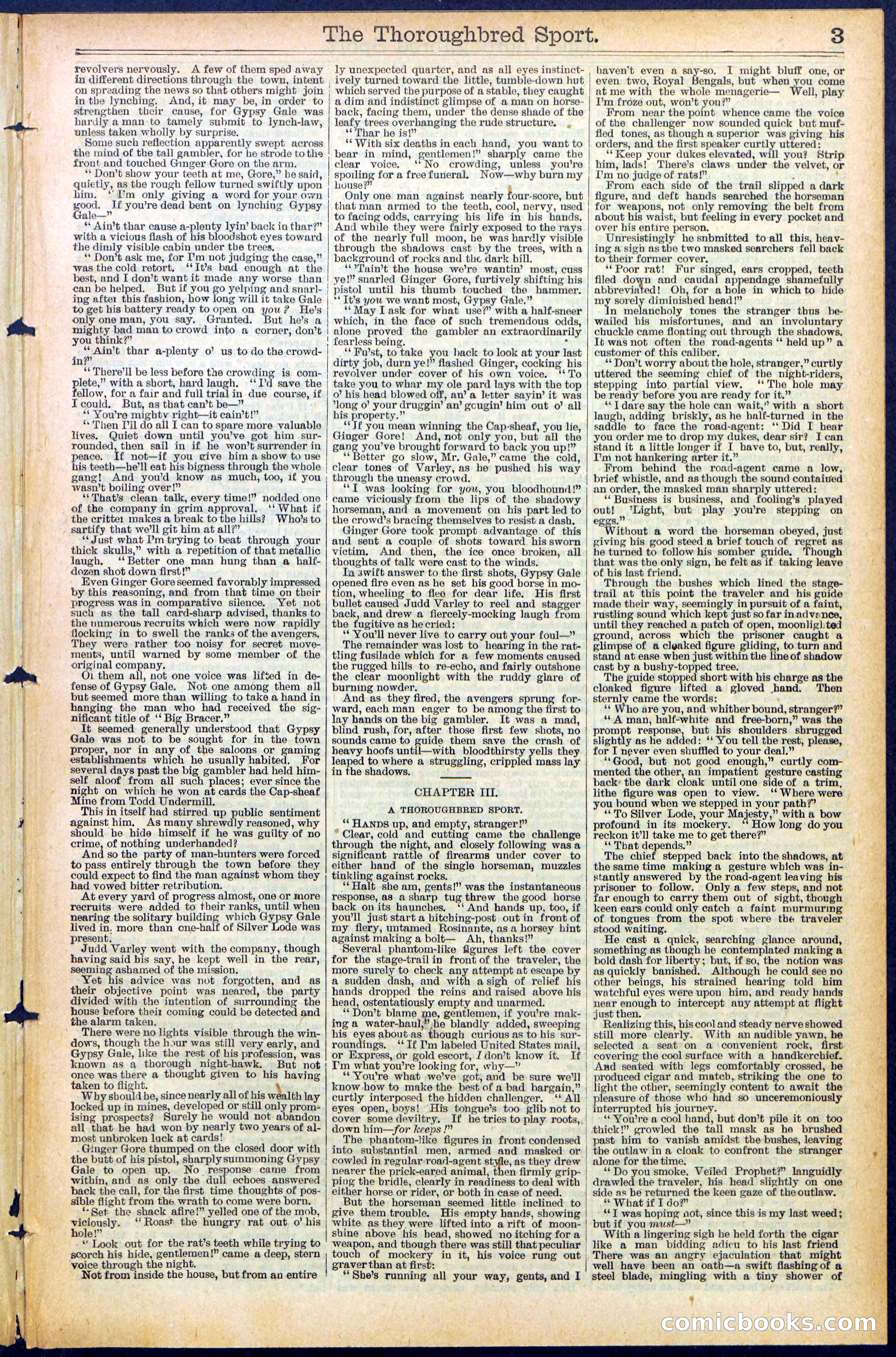 Beadle's New York Dime Library No. 488 — page 3 of 32