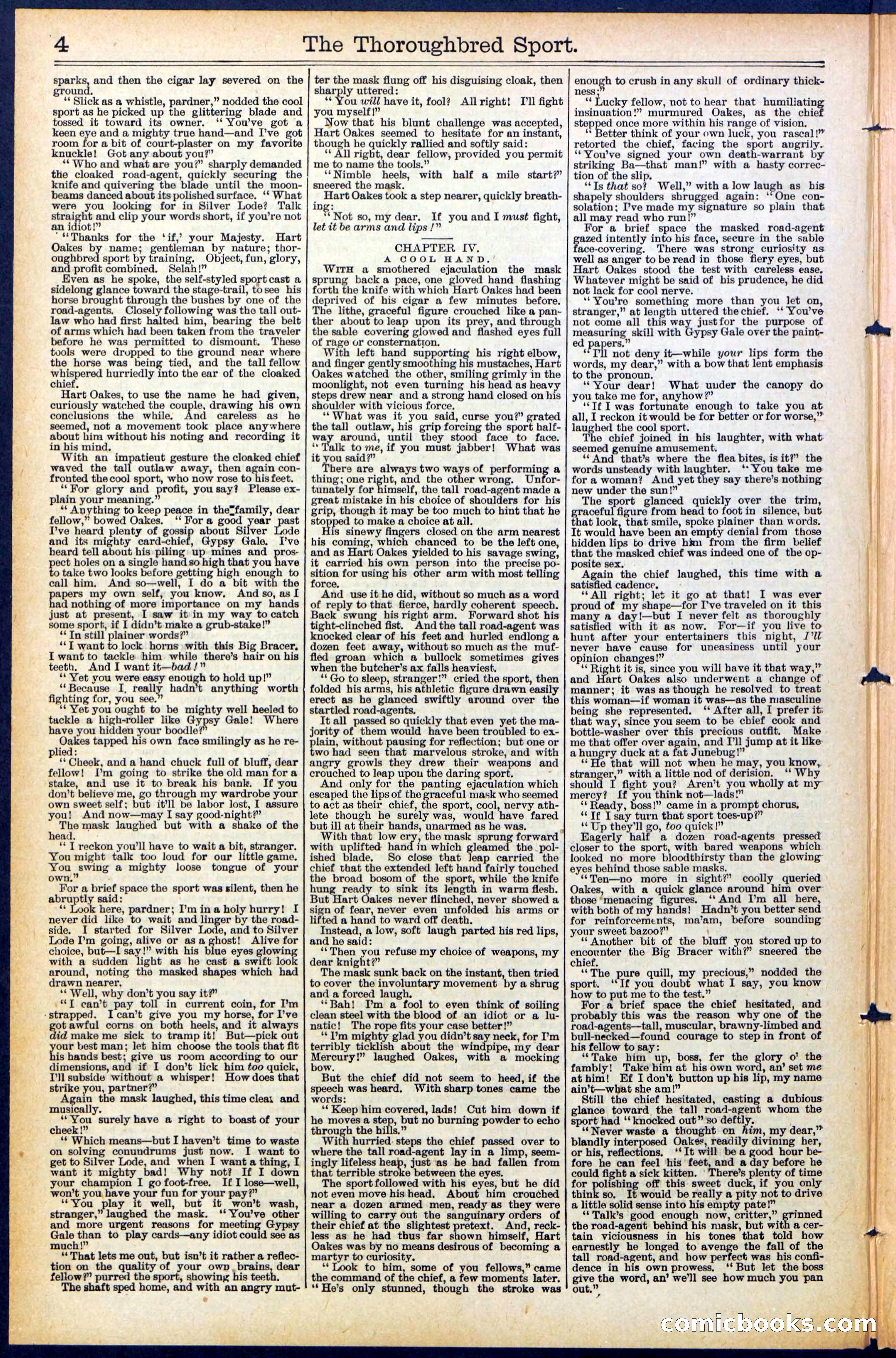 Beadle's New York Dime Library No. 488 — page 4 of 32