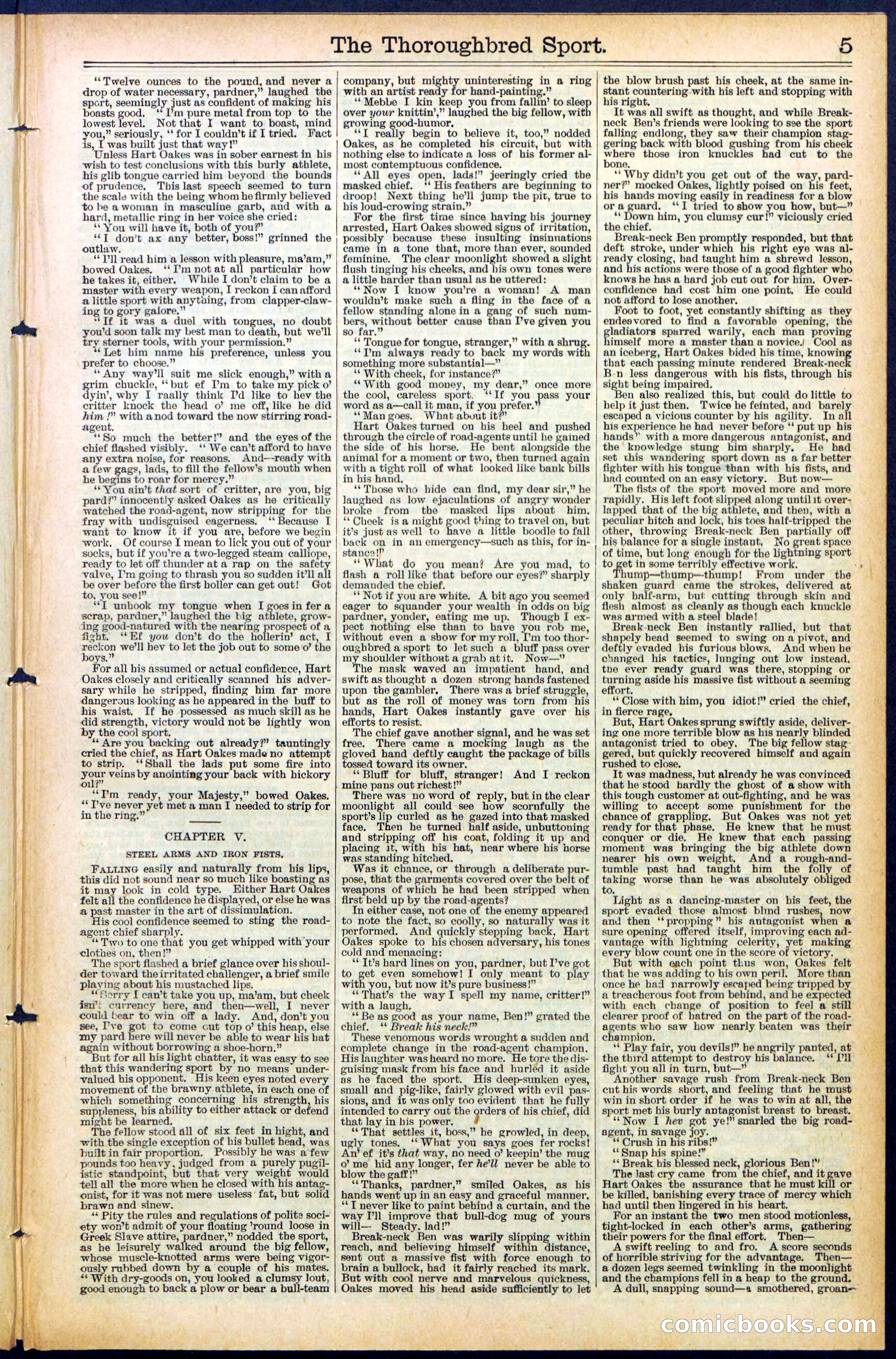 Beadle's New York Dime Library No. 488 — page 5 of 32