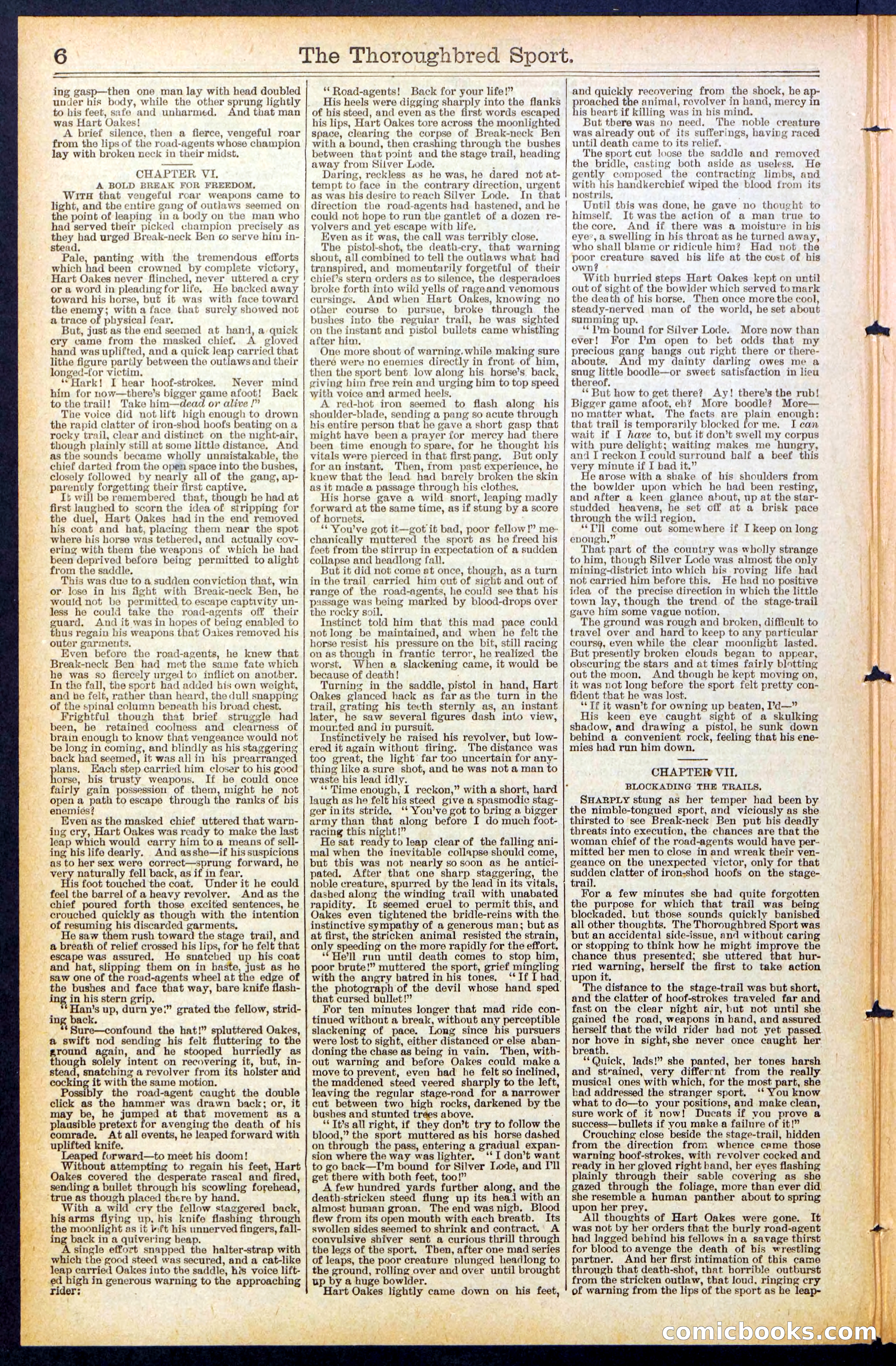 Beadle's New York Dime Library No. 488 — page 6 of 32
