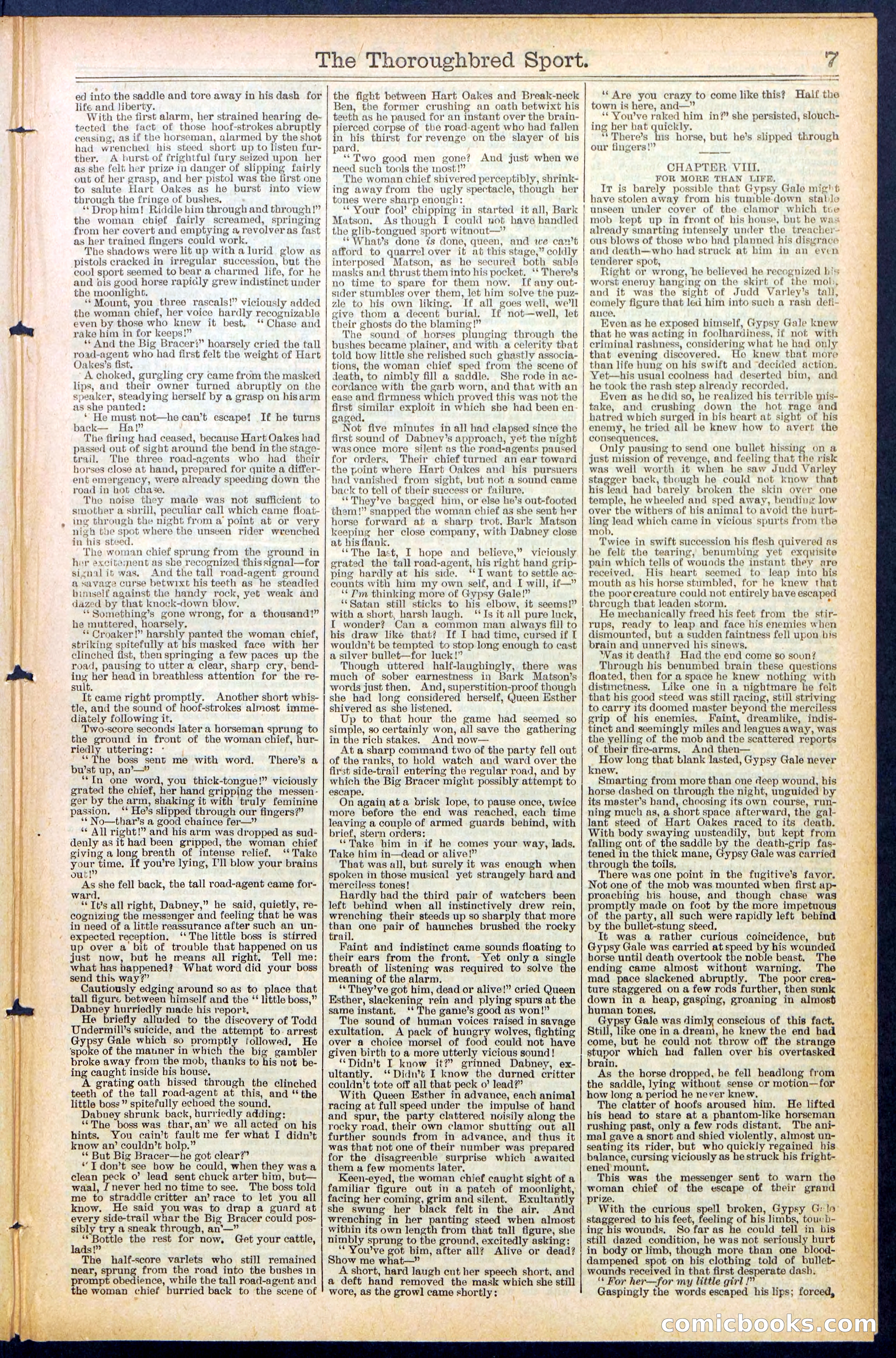 Beadle's New York Dime Library No. 488 — page 7 of 32