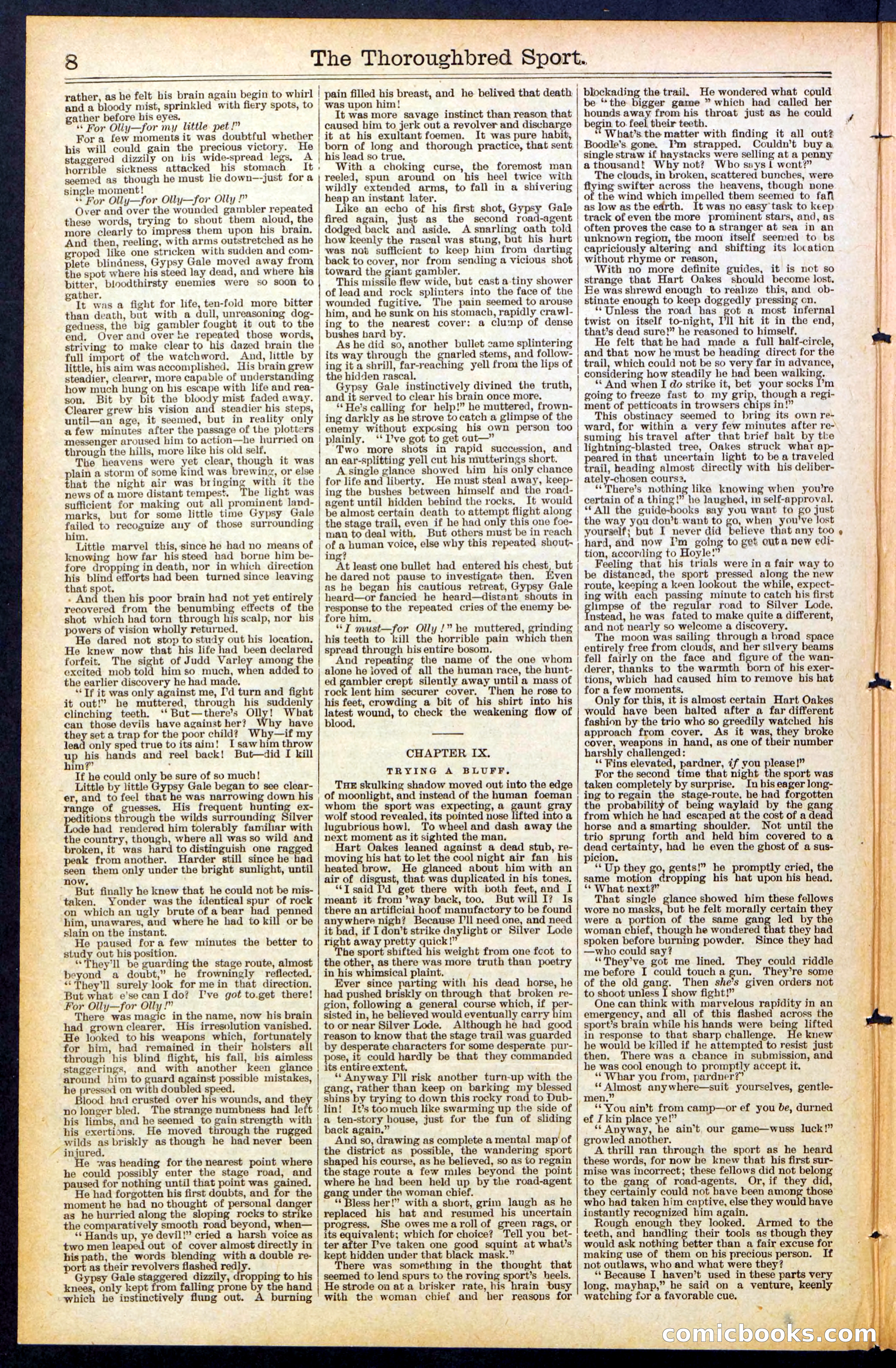 Beadle's New York Dime Library No. 488 — page 8 of 32