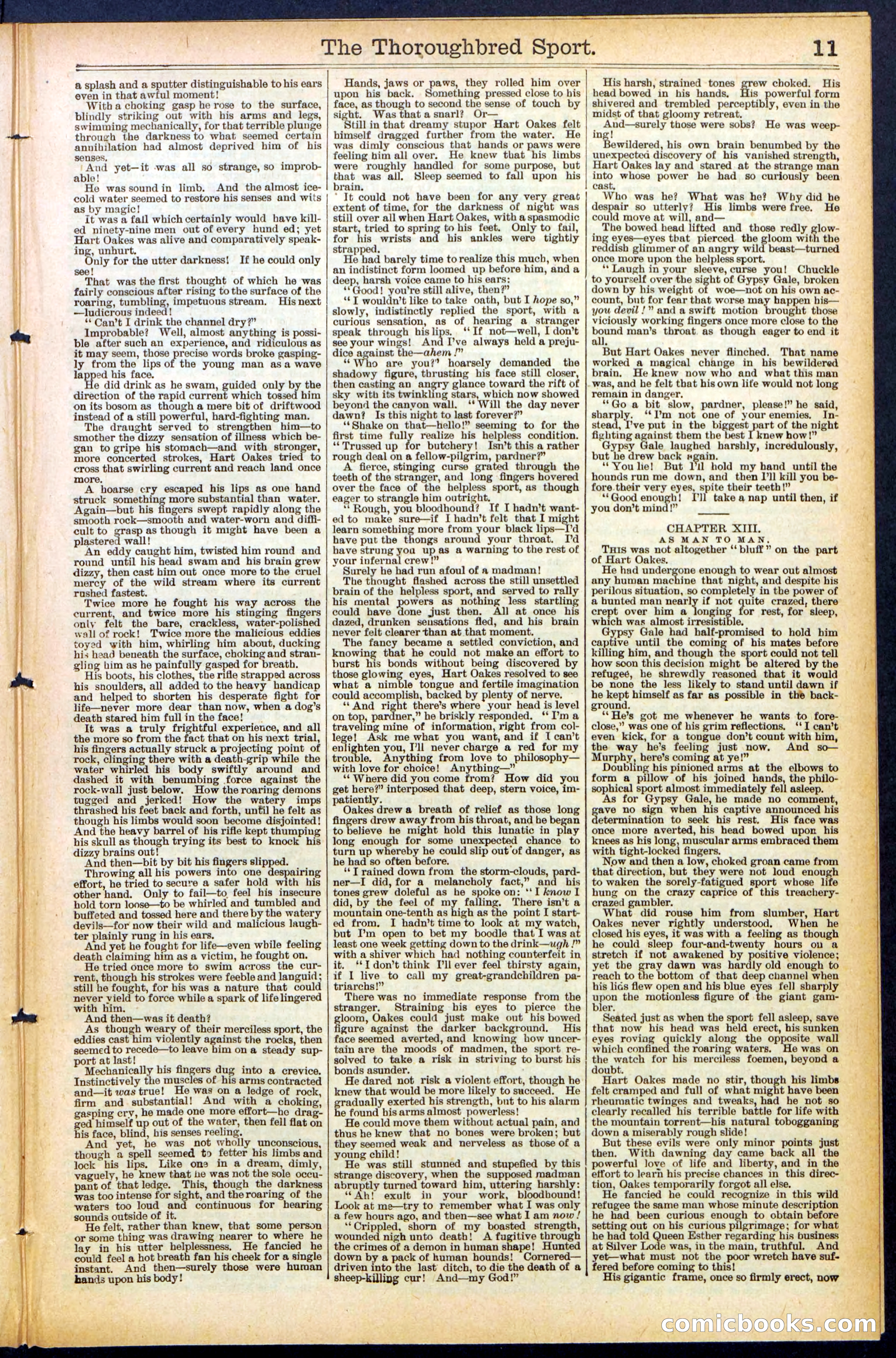 Beadle's New York Dime Library No. 488 — page 11 of 32