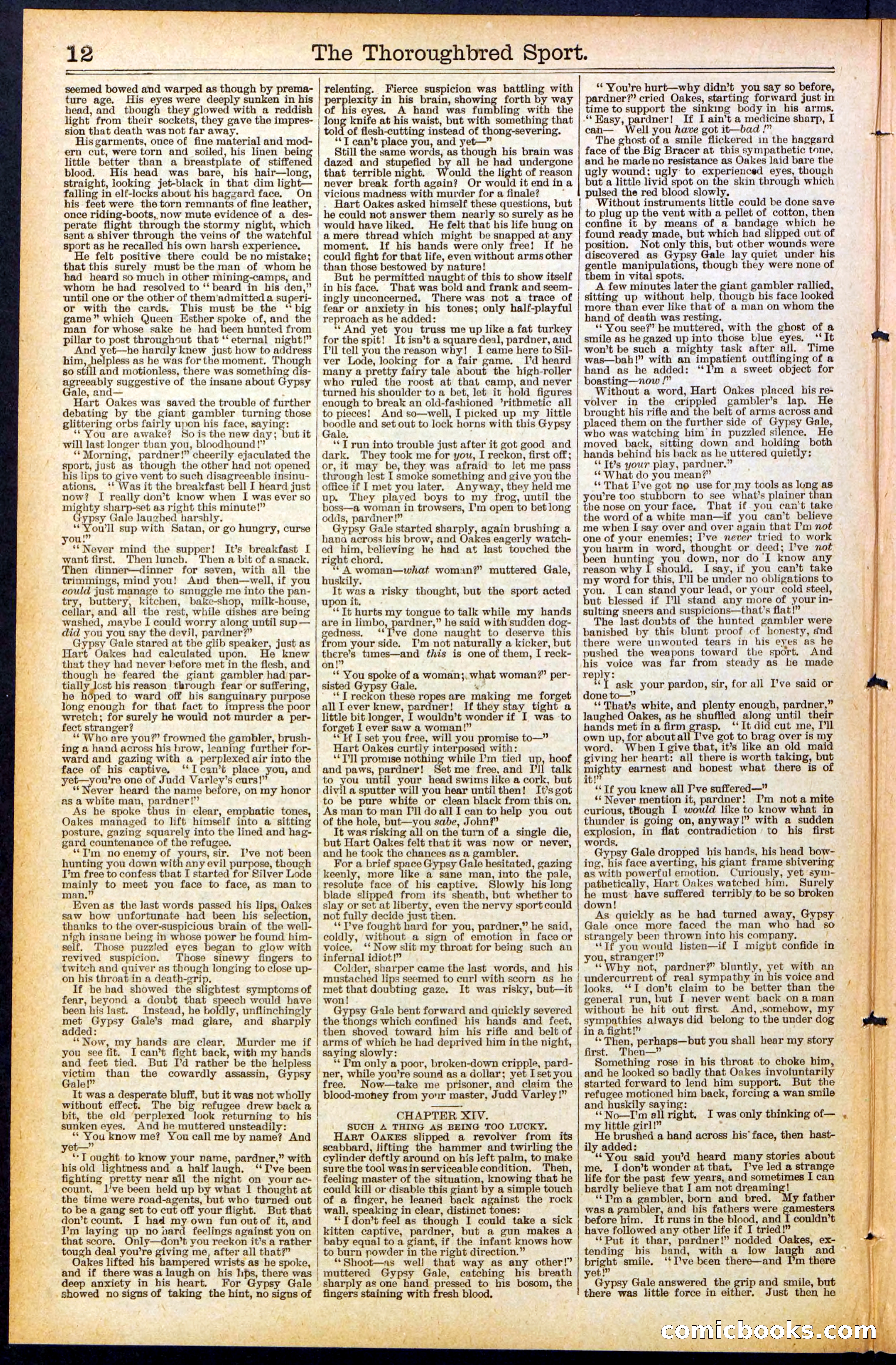 Beadle's New York Dime Library No. 488 — page 12 of 32