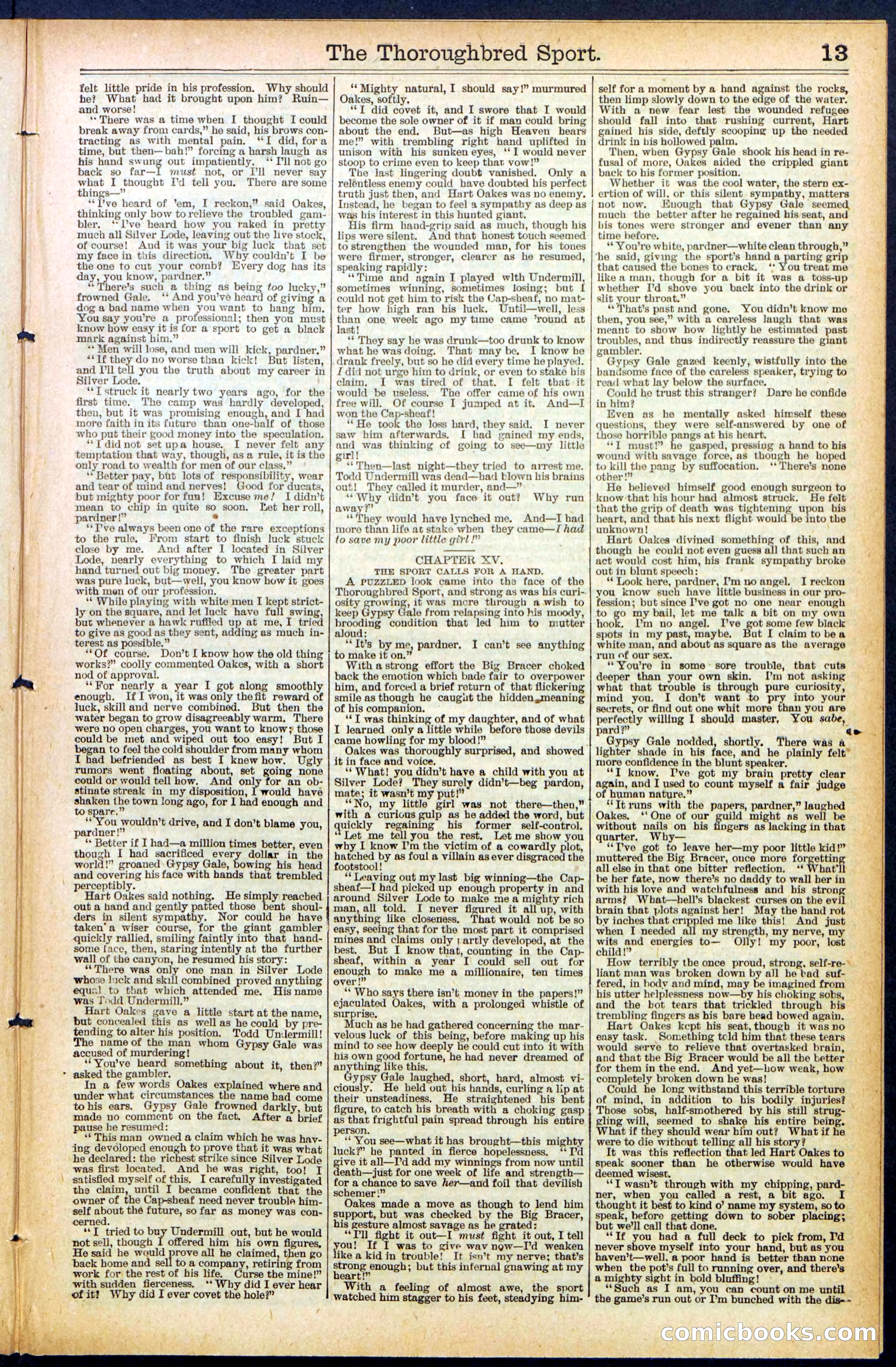 Beadle's New York Dime Library No. 488 — page 13 of 32