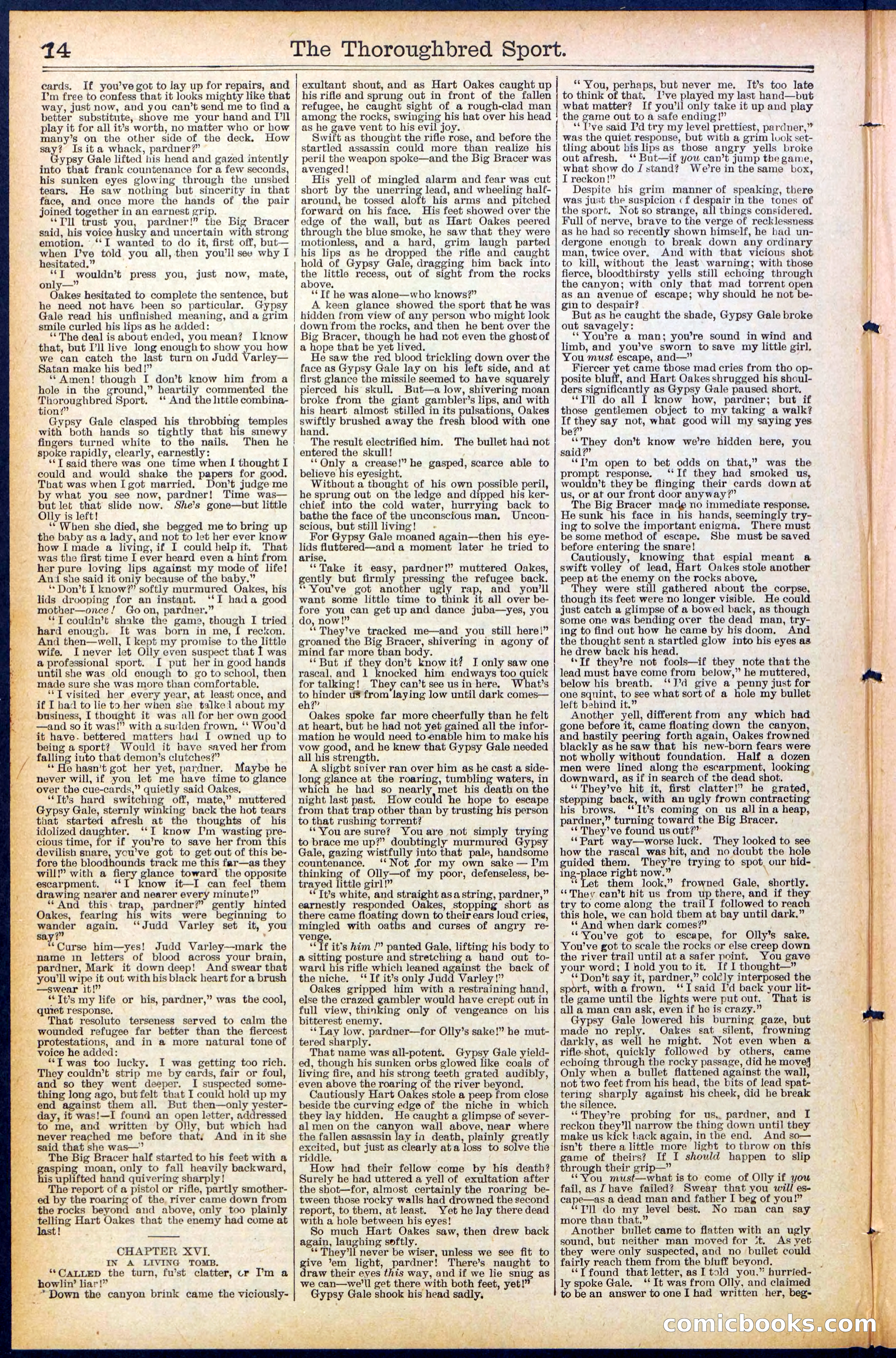 Beadle's New York Dime Library No. 488 — page 14 of 32