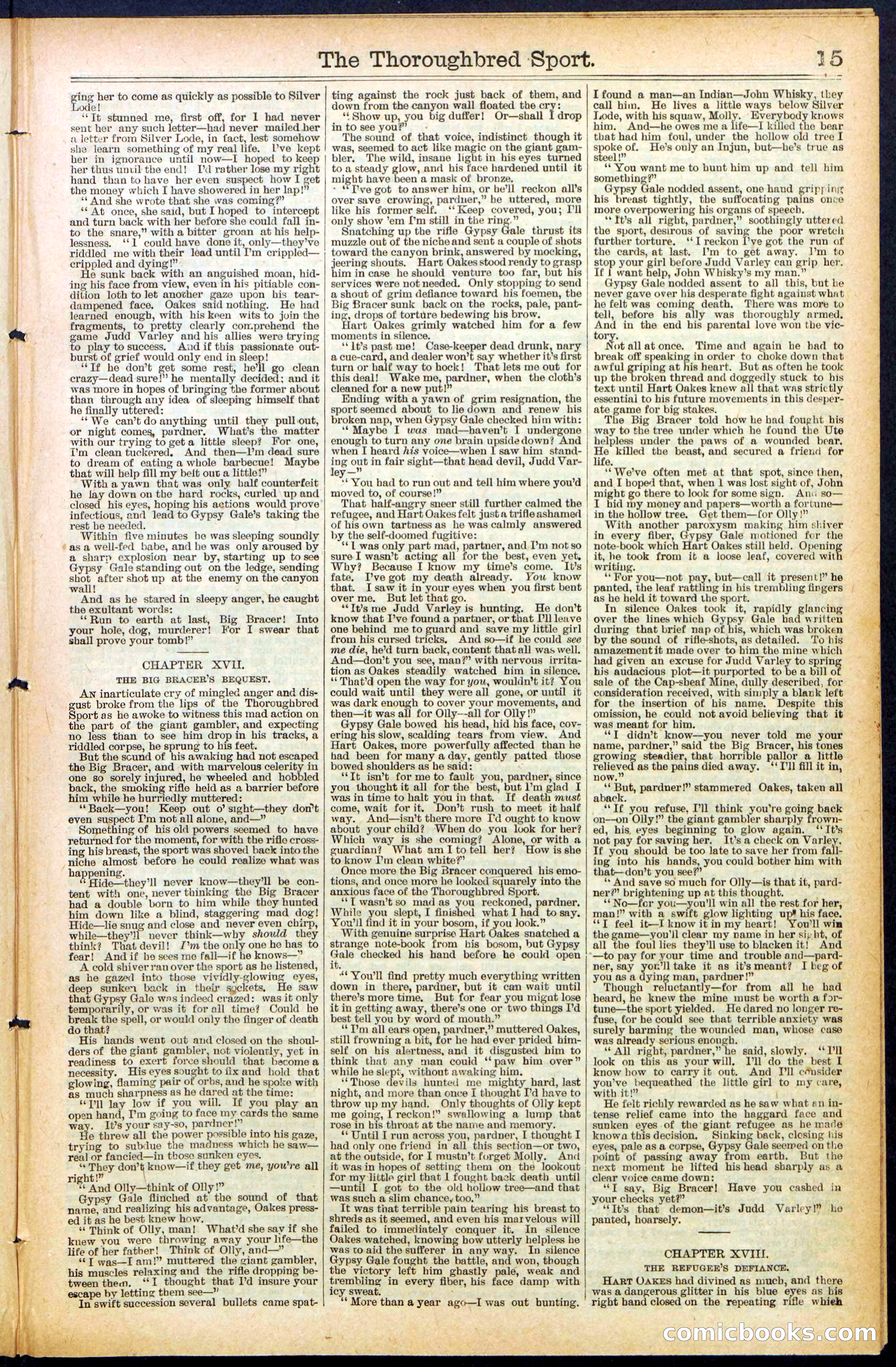 Beadle's New York Dime Library No. 488 — page 15 of 32
