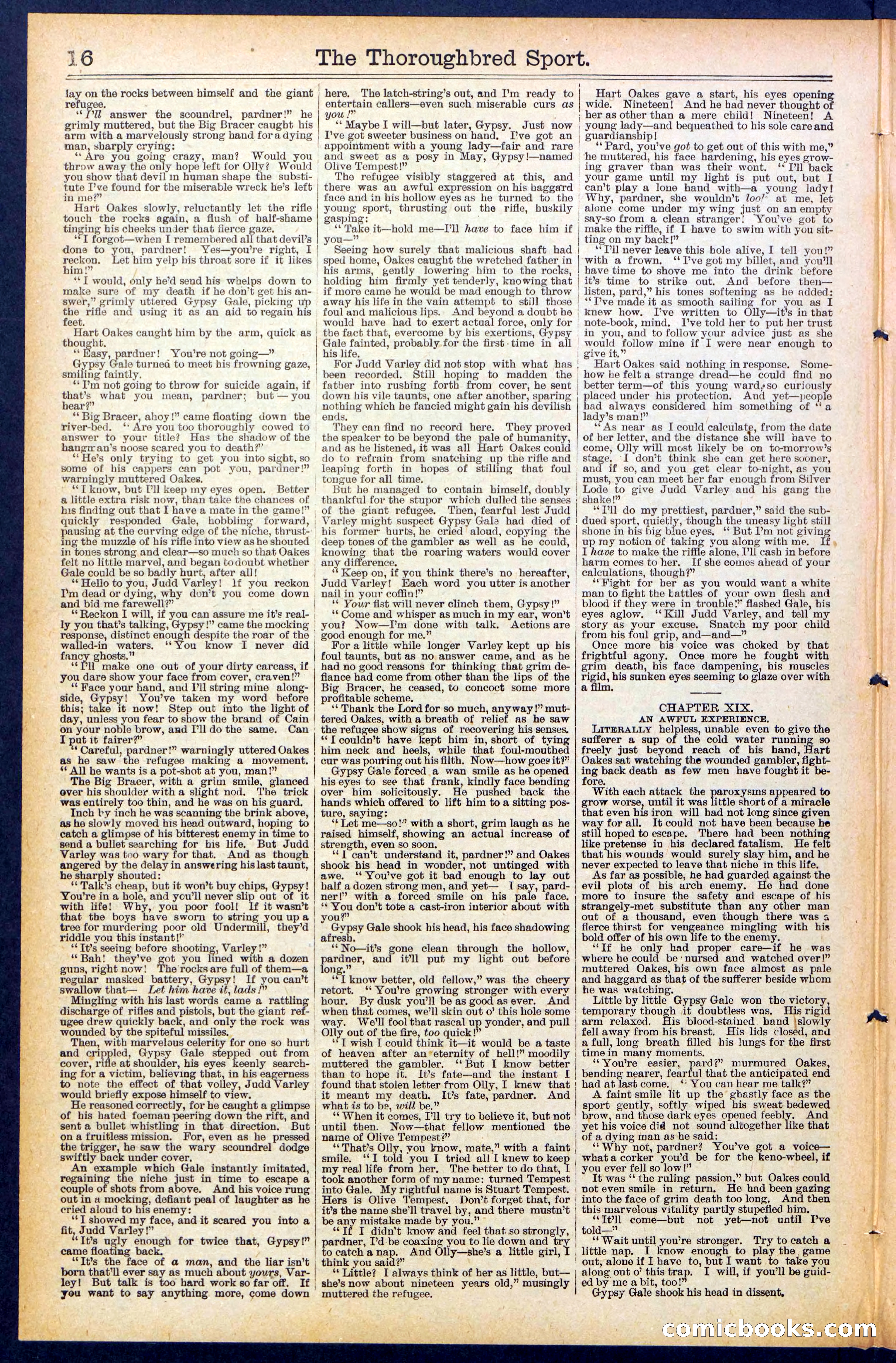 Beadle's New York Dime Library No. 488 — page 16 of 32