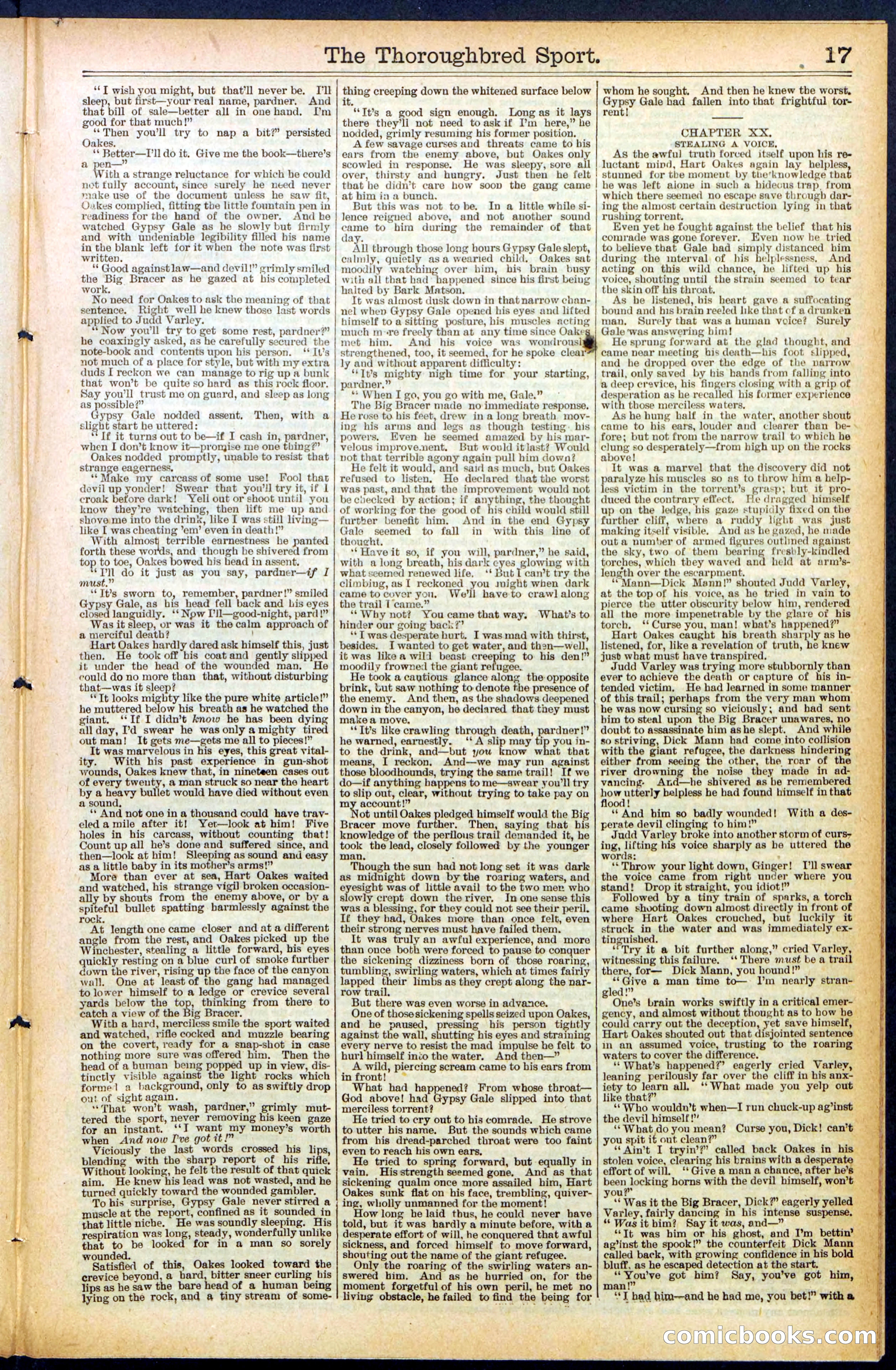 Beadle's New York Dime Library No. 488 — page 17 of 32