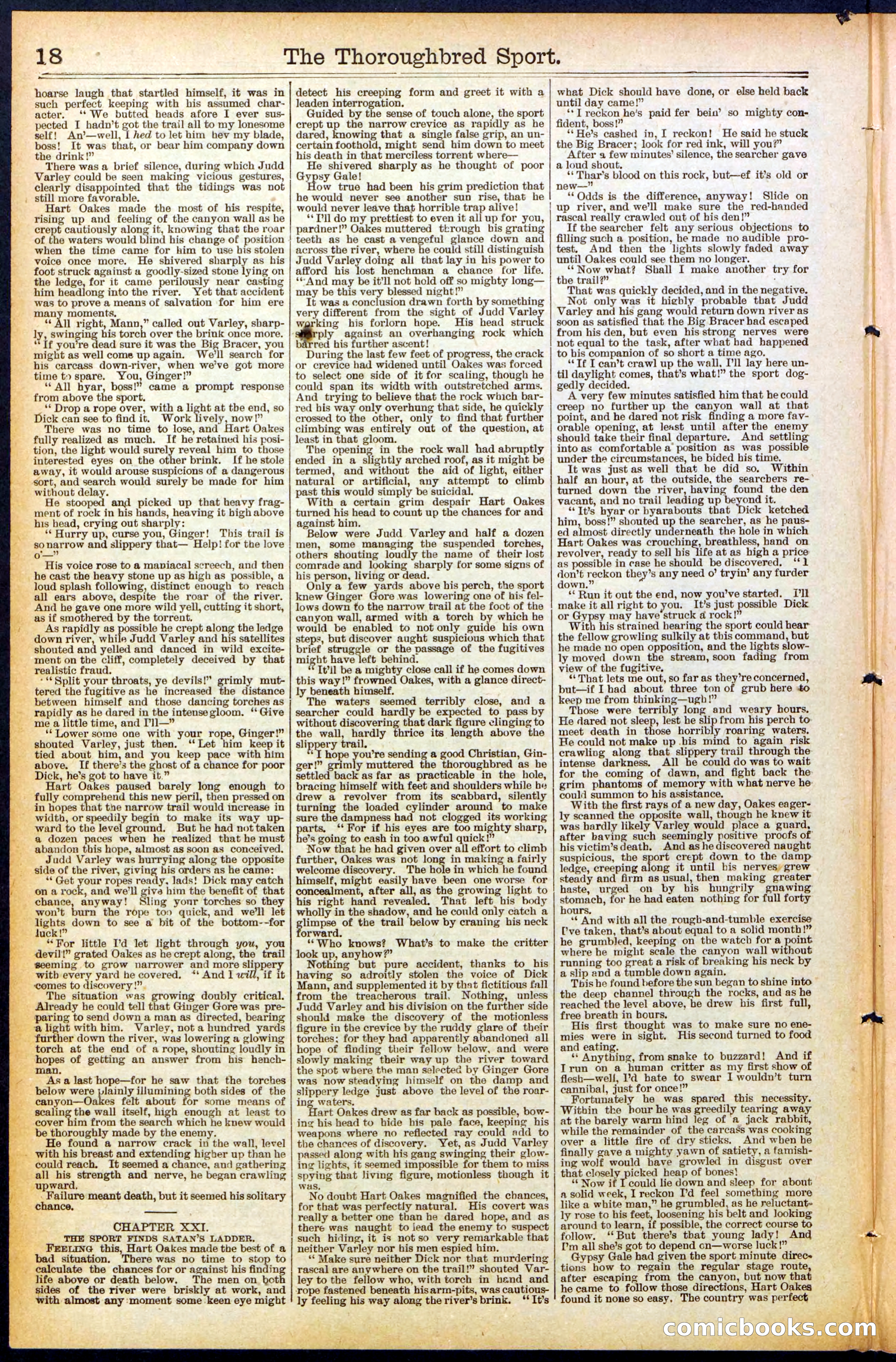 Beadle's New York Dime Library No. 488 — page 18 of 32