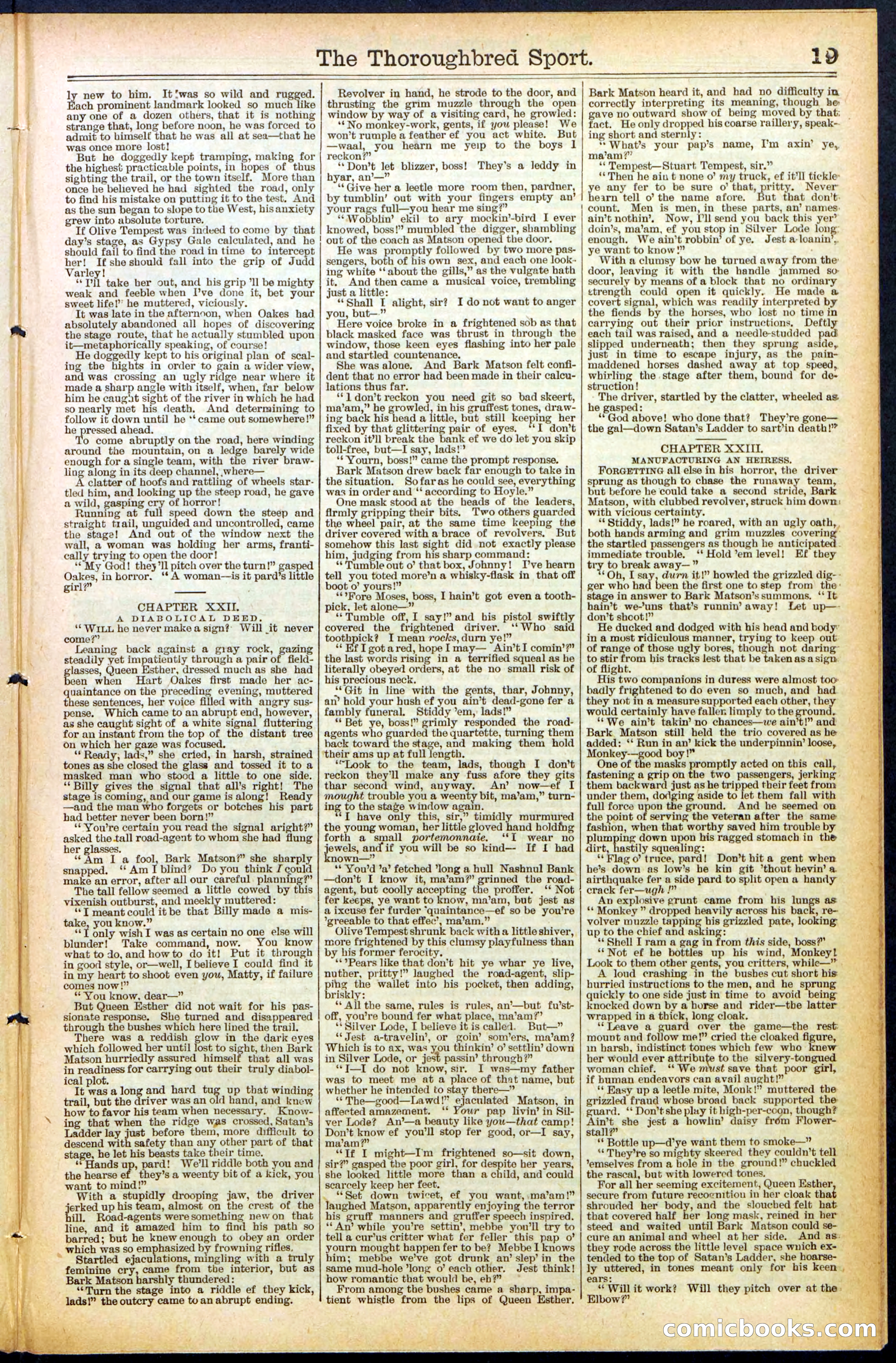 Beadle's New York Dime Library No. 488 — page 19 of 32