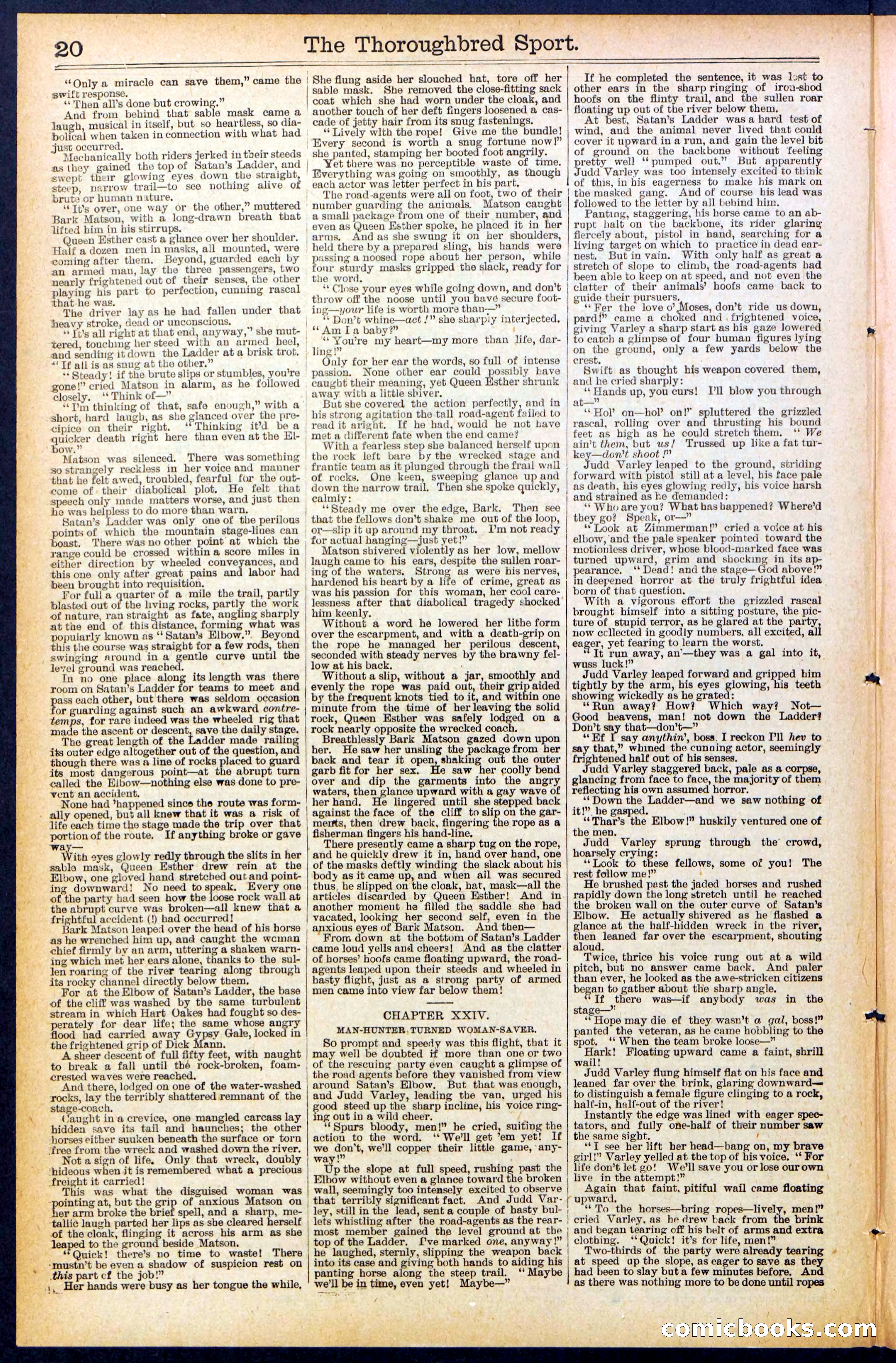 Beadle's New York Dime Library No. 488 — page 20 of 32