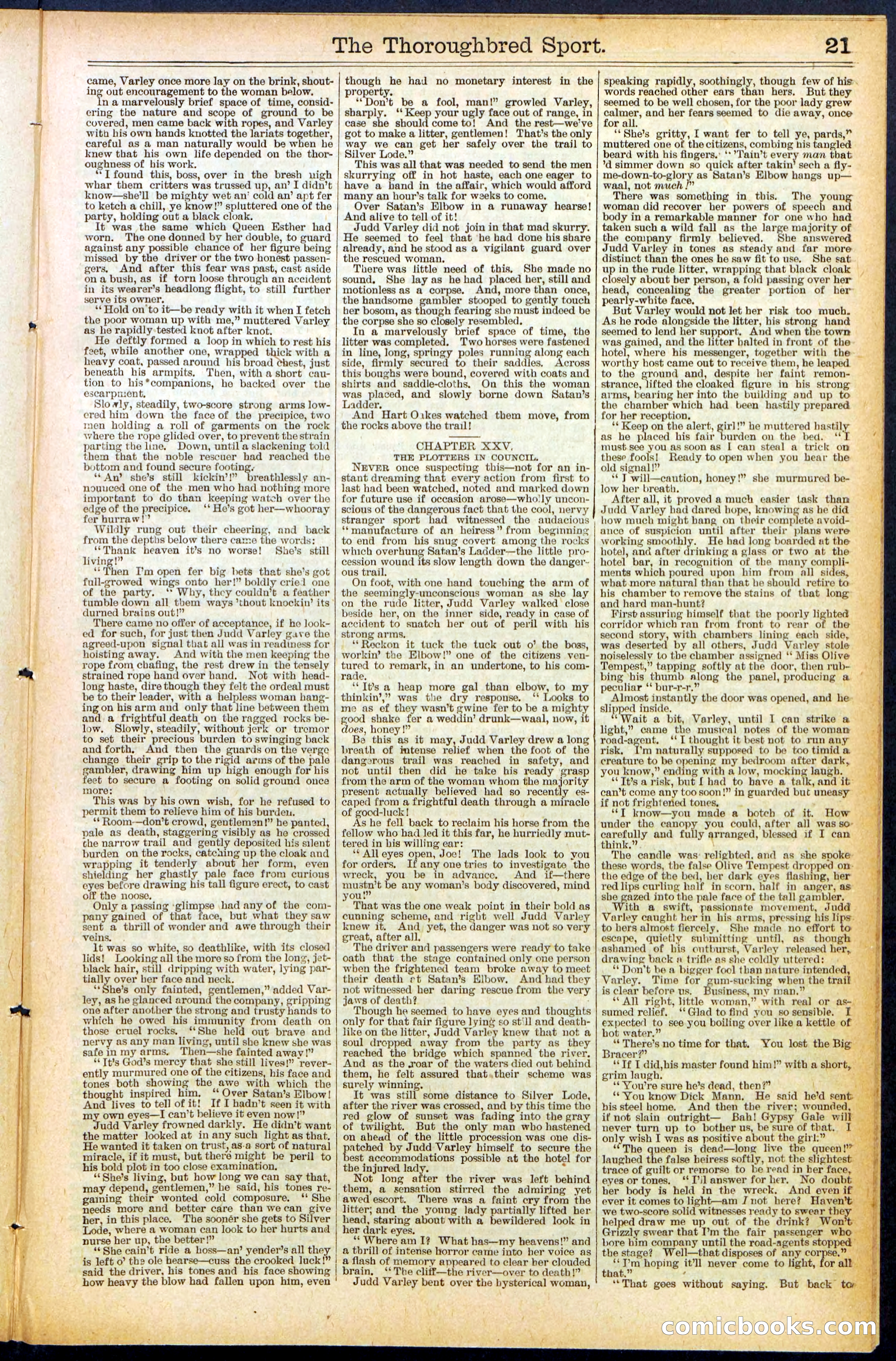 Beadle's New York Dime Library No. 488 — page 21 of 32