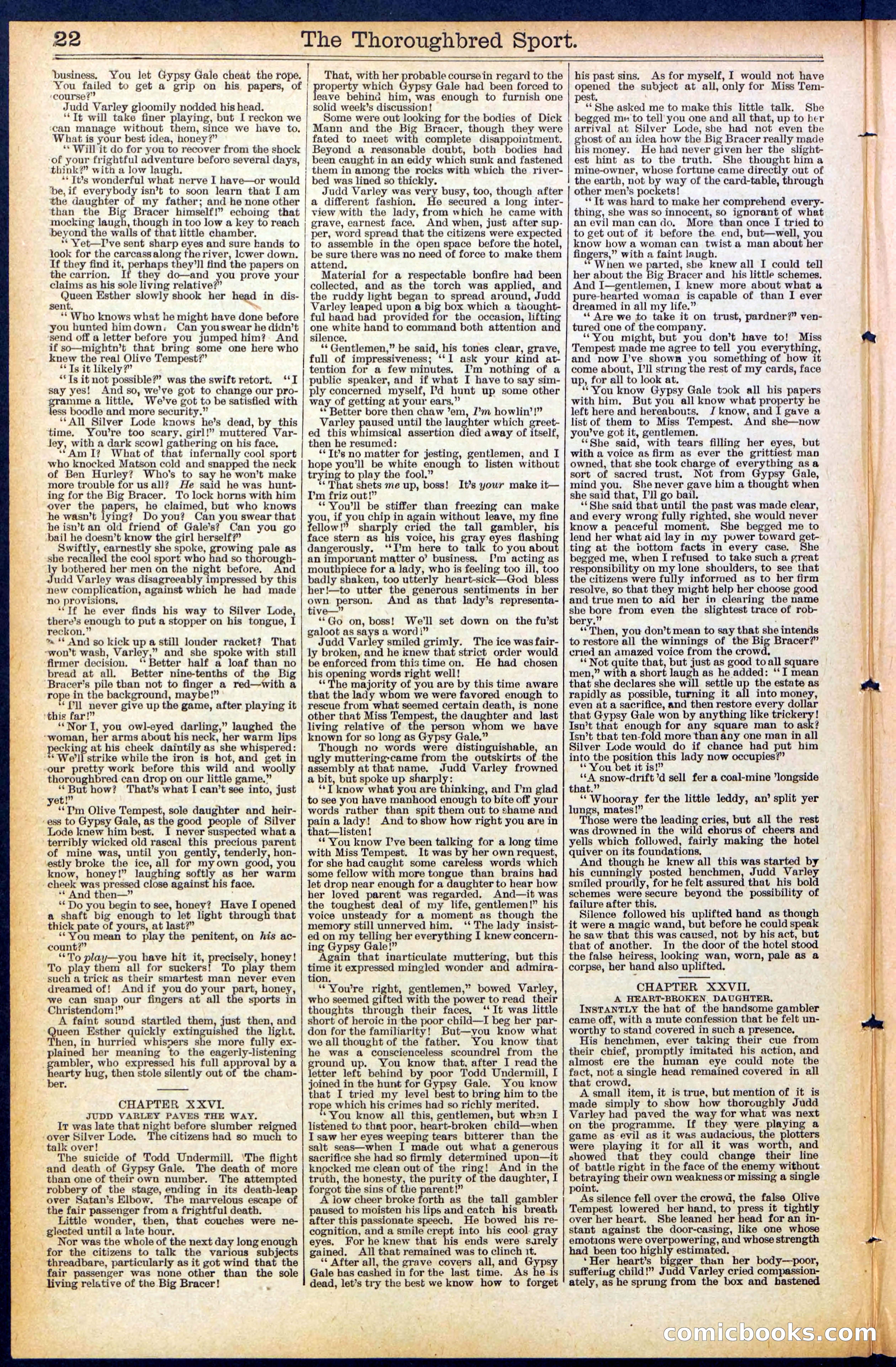 Beadle's New York Dime Library No. 488 — page 22 of 32