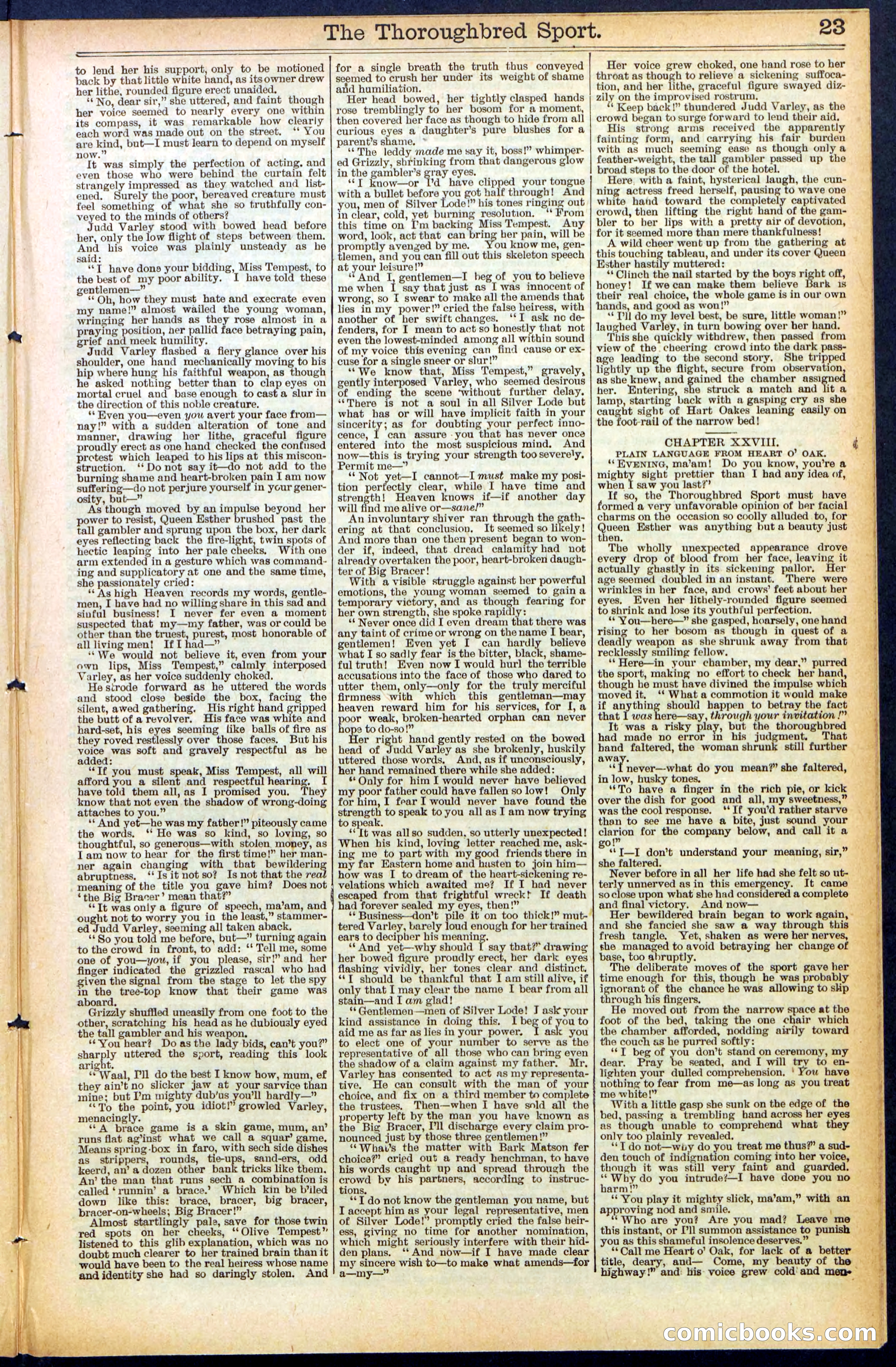 Beadle's New York Dime Library No. 488 — page 23 of 32