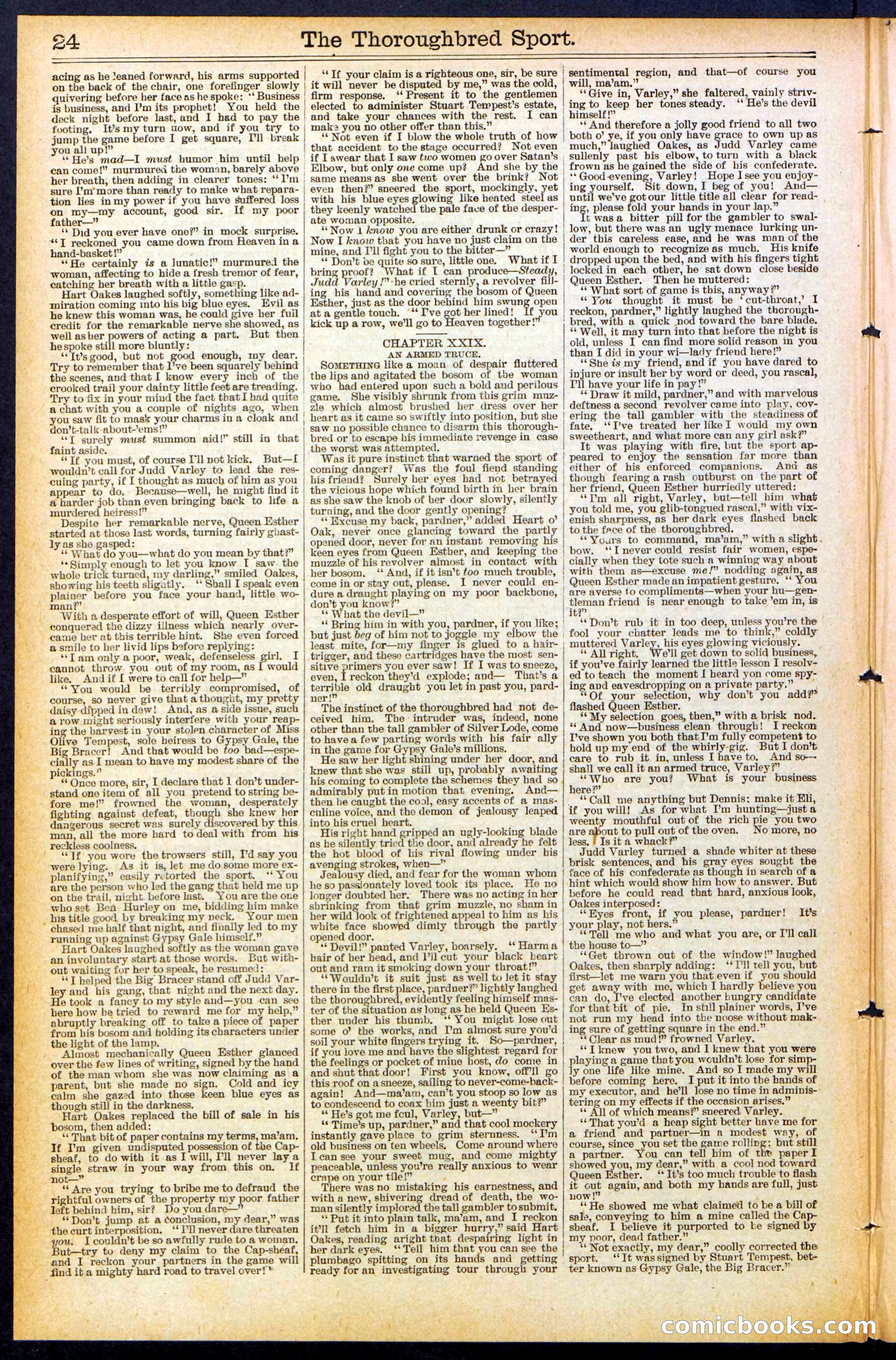 Beadle's New York Dime Library No. 488 — page 24 of 32