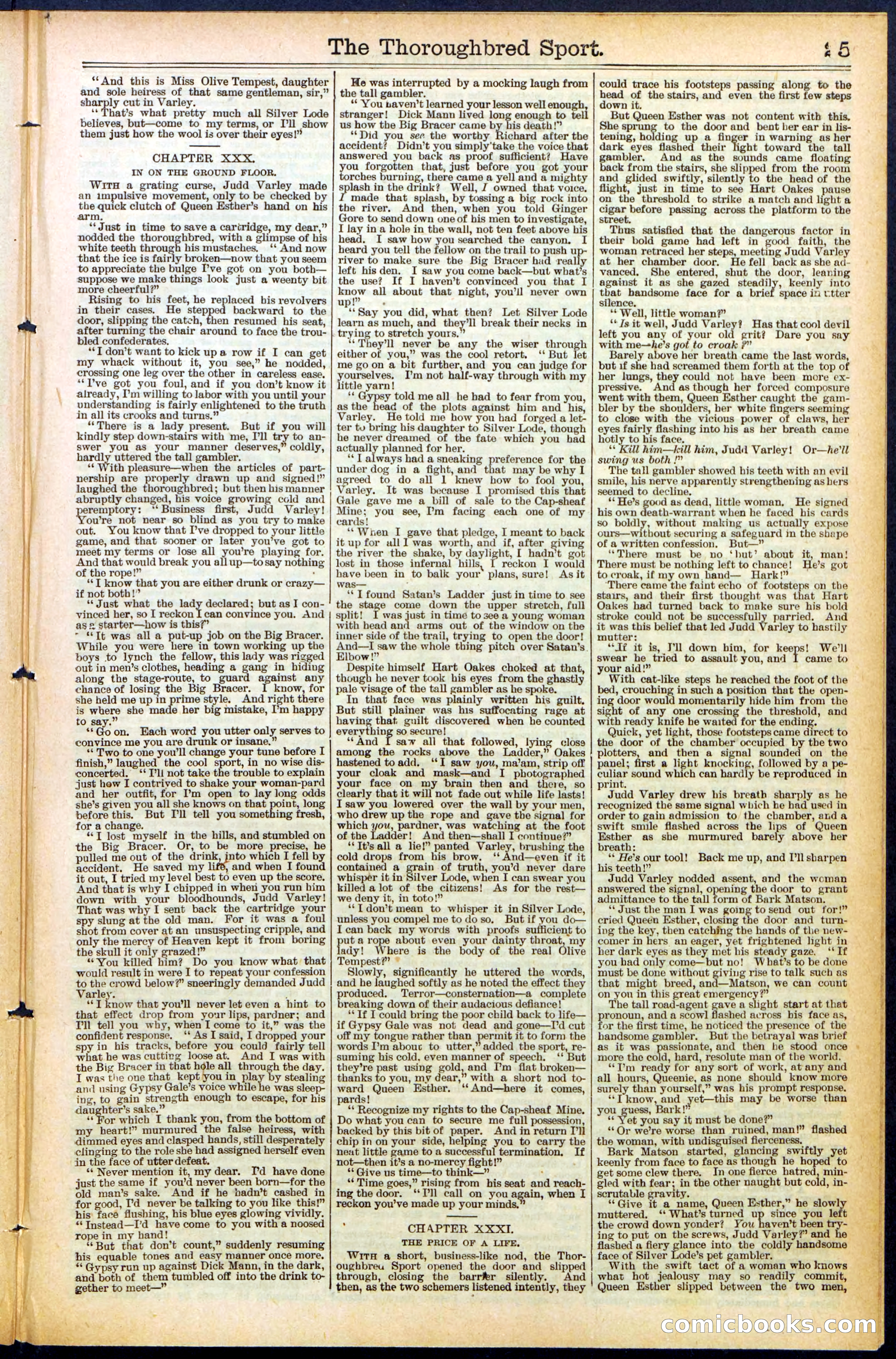 Beadle's New York Dime Library No. 488 — page 25 of 32