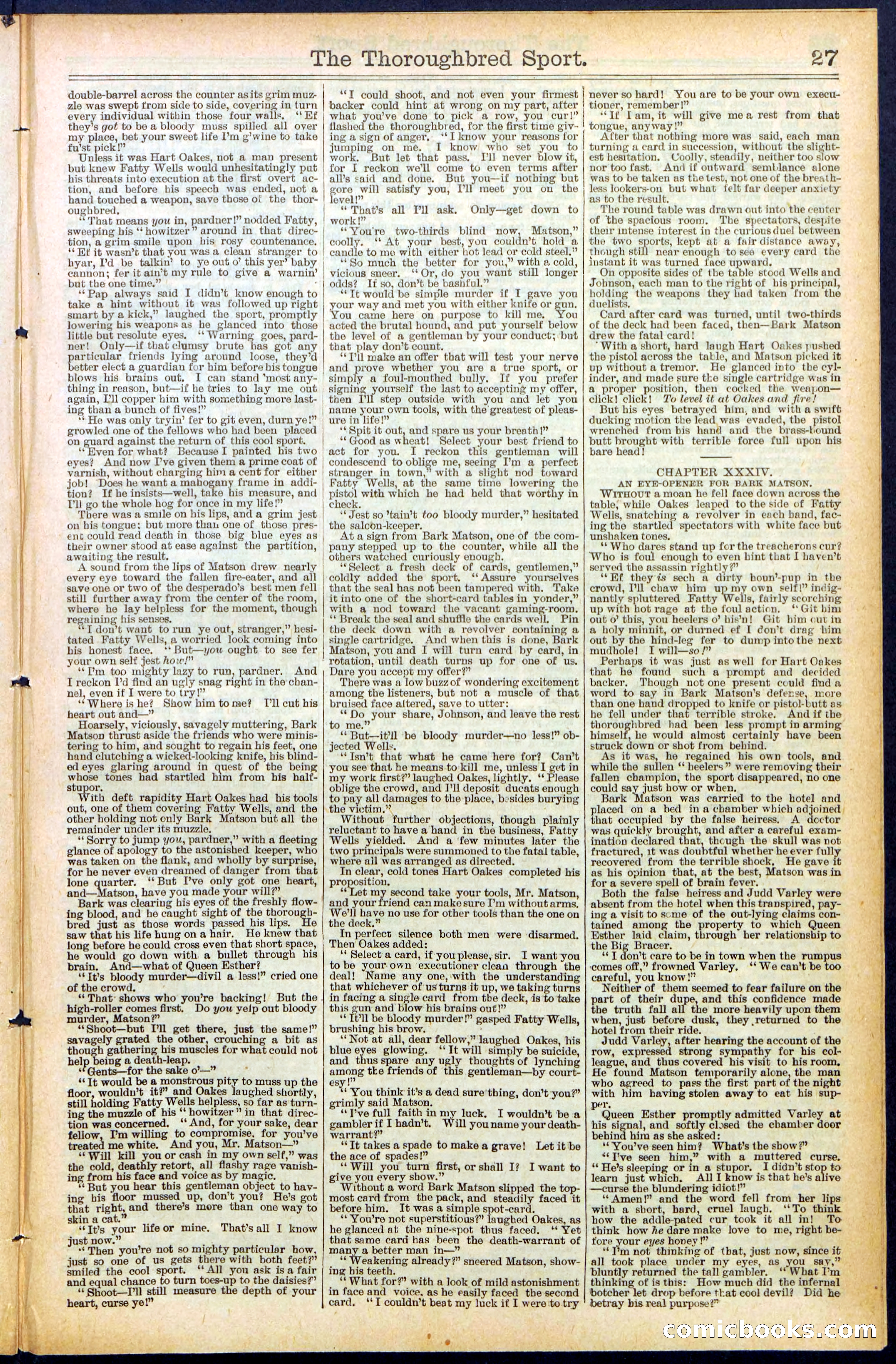 Beadle's New York Dime Library No. 488 — page 27 of 32