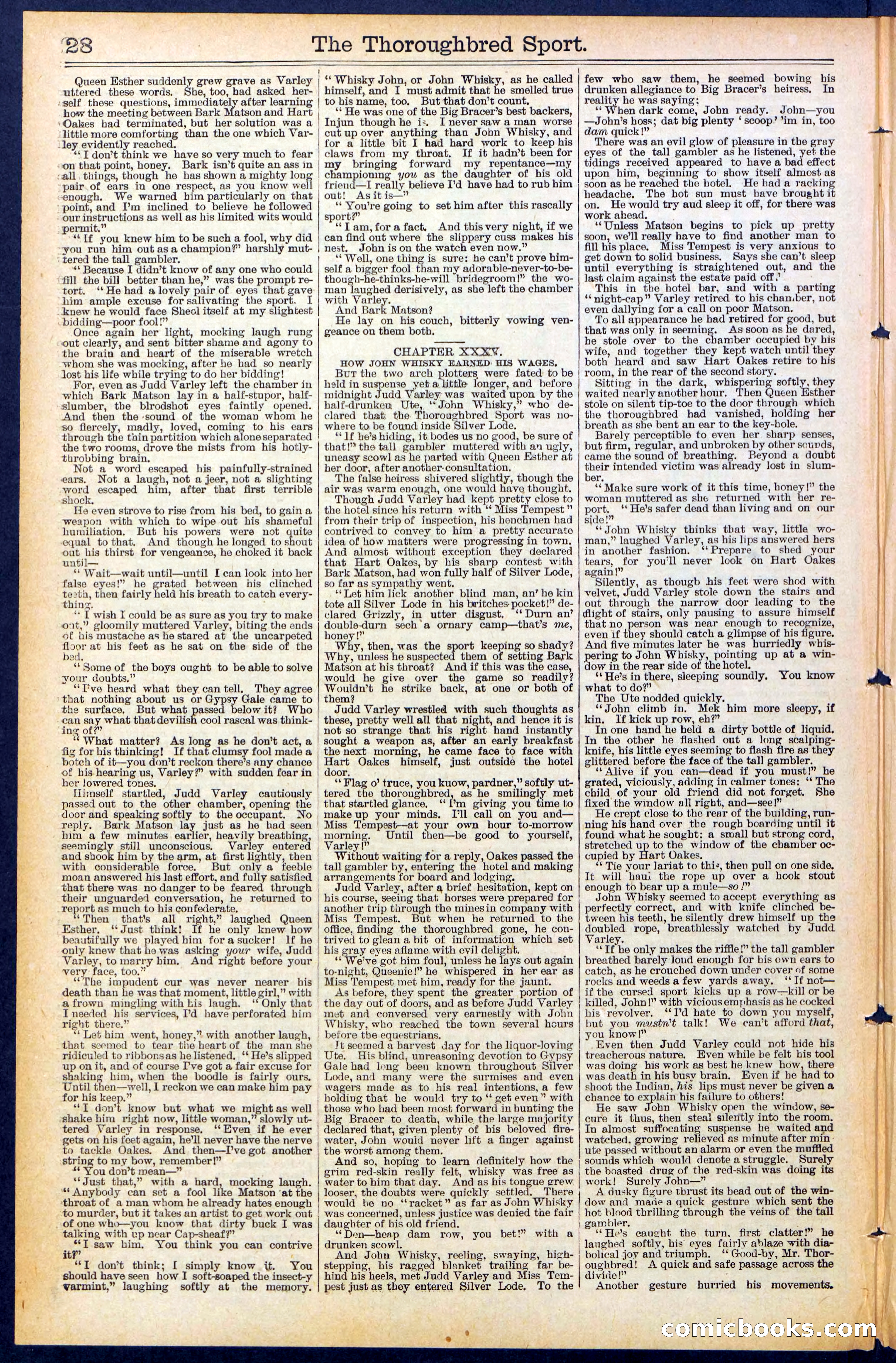 Beadle's New York Dime Library No. 488 — page 28 of 32