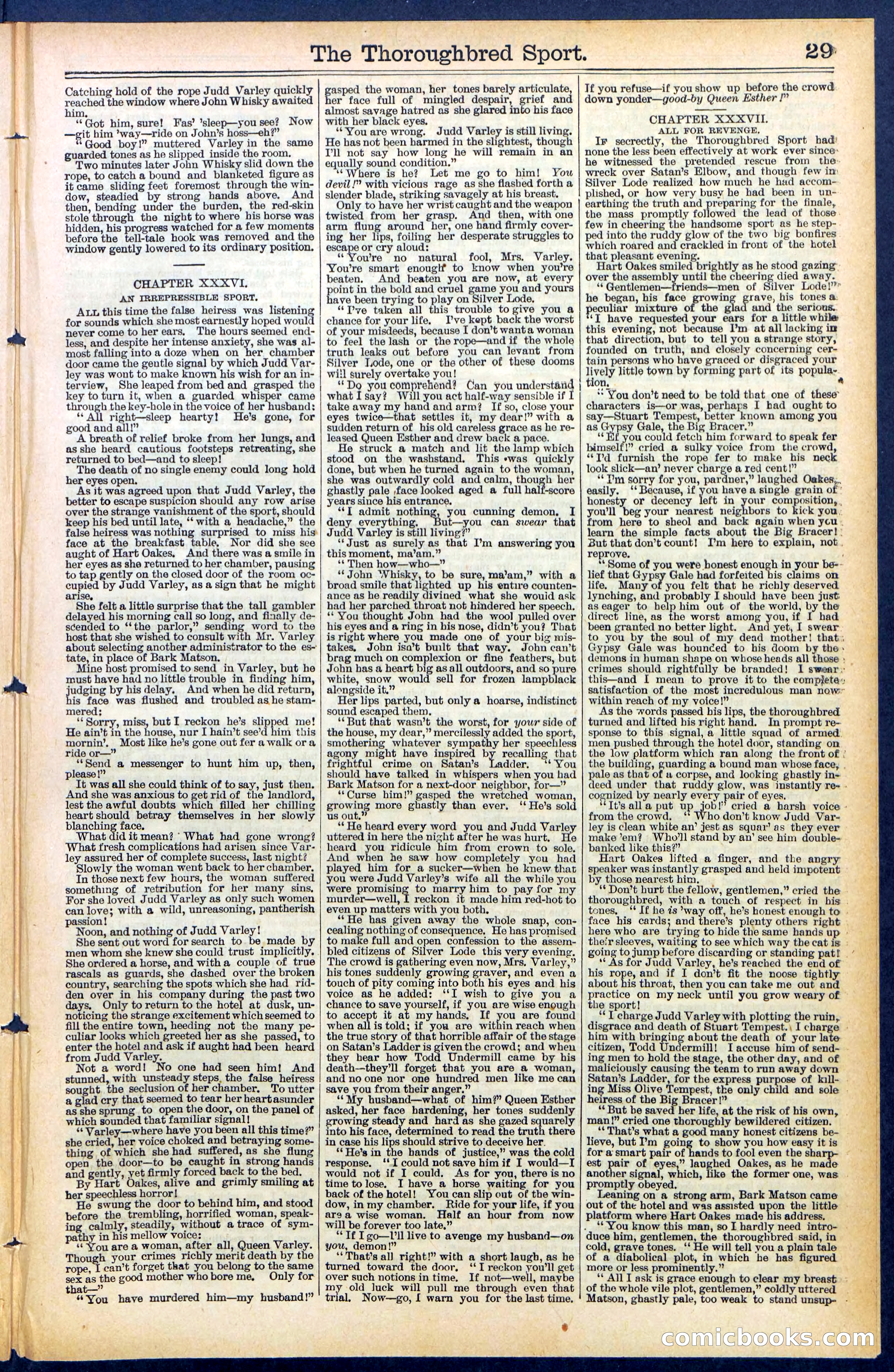 Beadle's New York Dime Library No. 488 — page 29 of 32