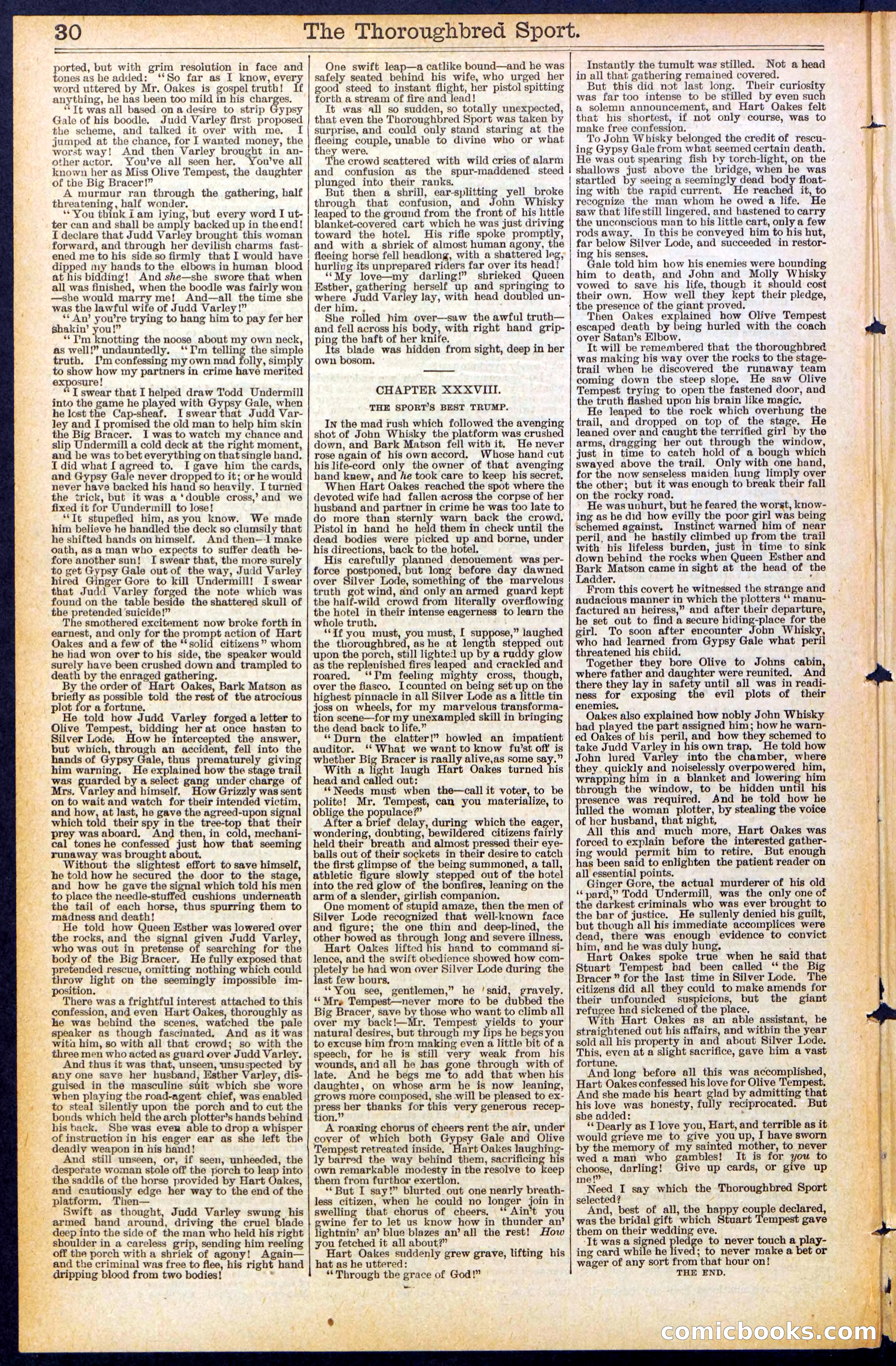 Beadle's New York Dime Library No. 488 — page 30 of 32