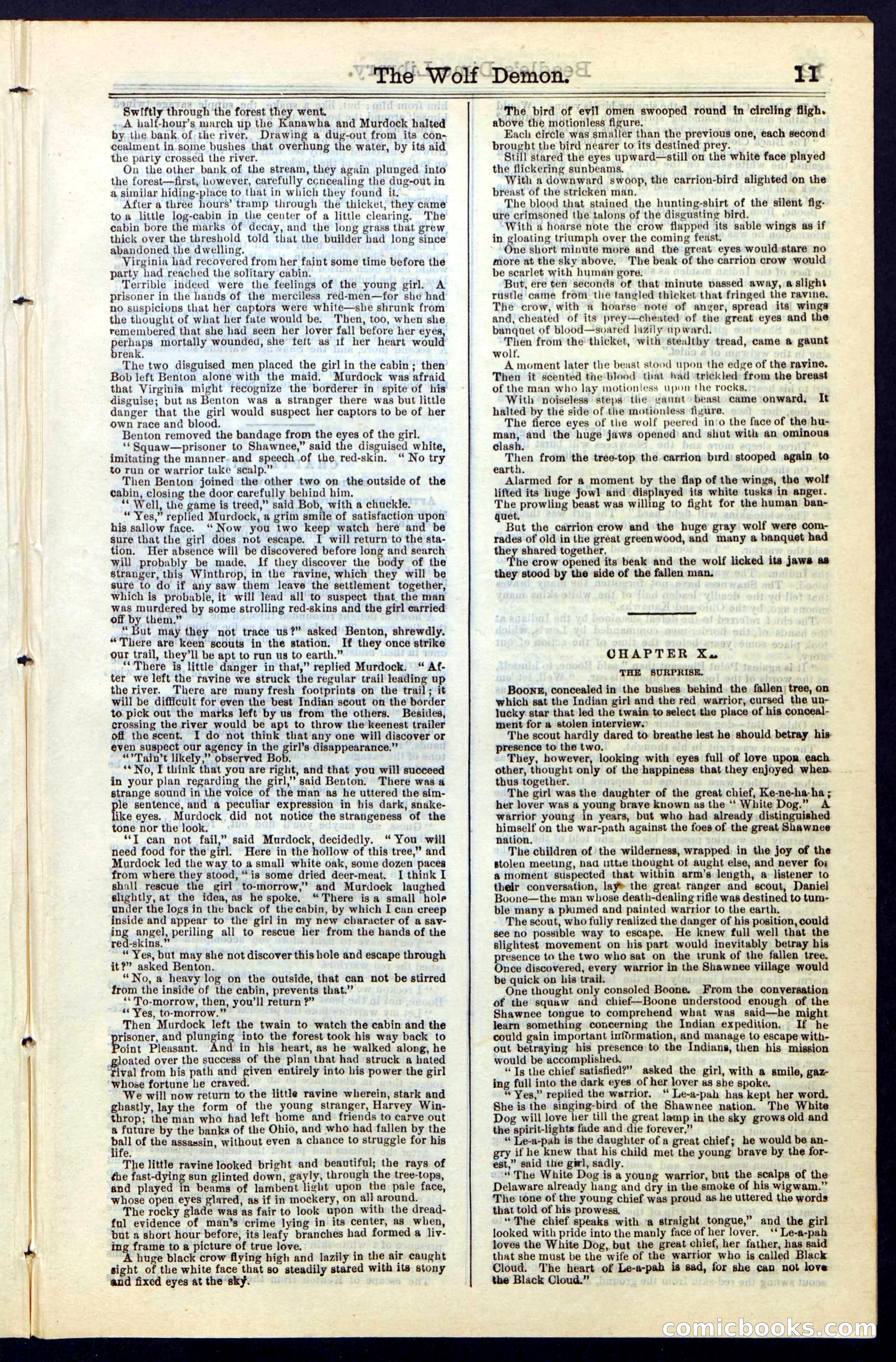 Beadle's New York Dime Library, No. 49 — page 11 of 48