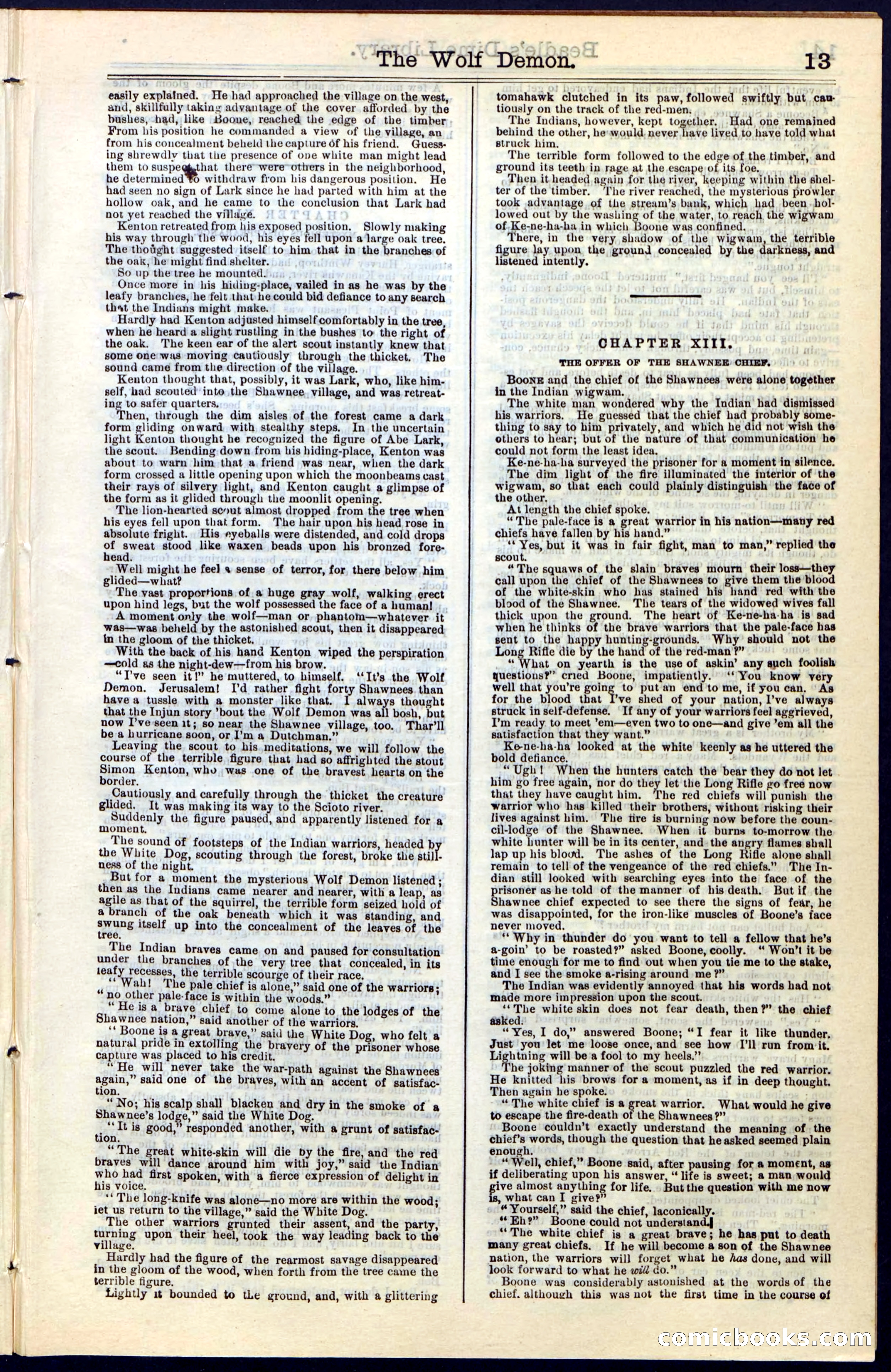 Beadle's New York Dime Library, No. 49 — page 13 of 48