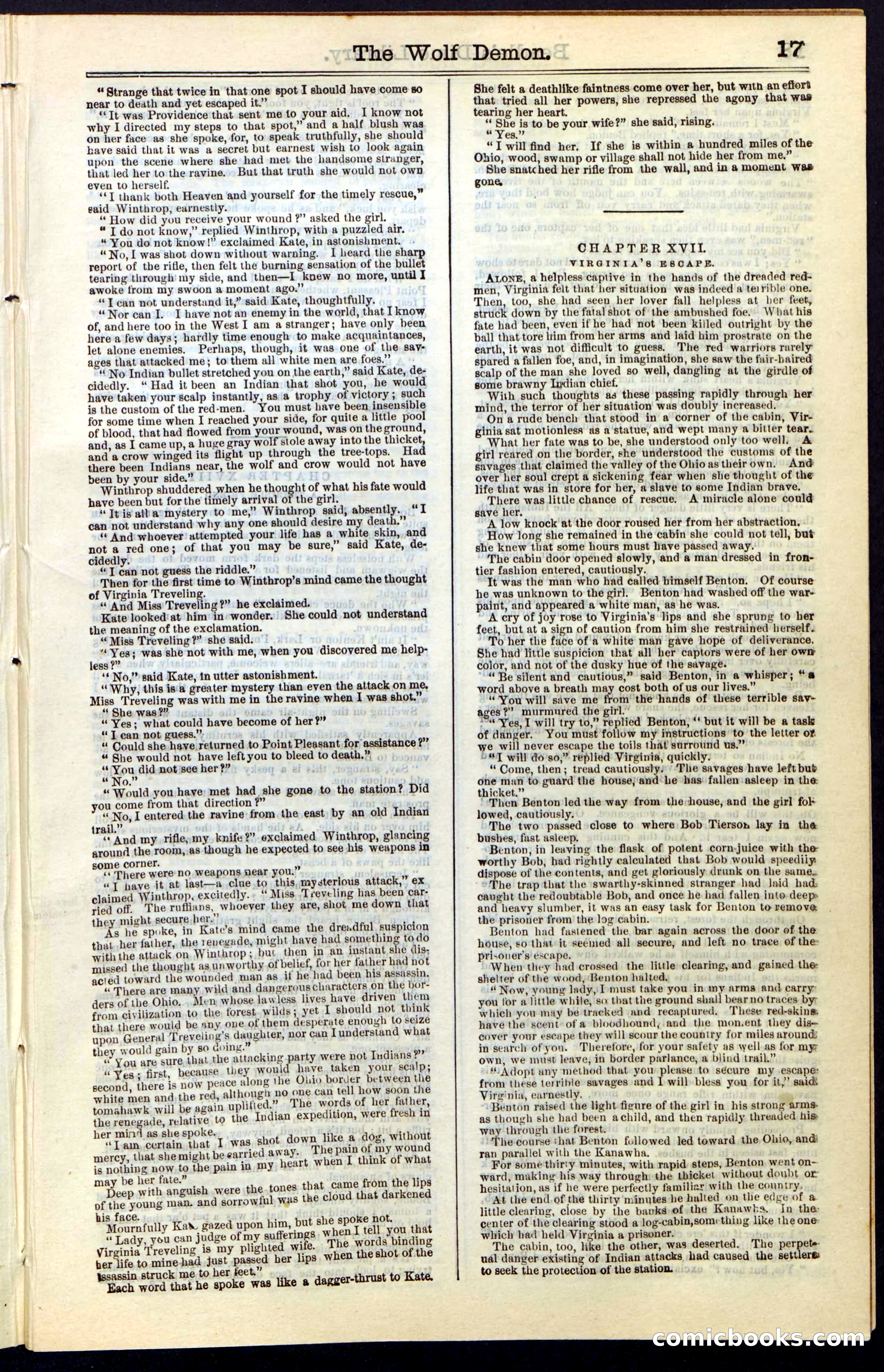Beadle's New York Dime Library, No. 49 — page 17 of 48