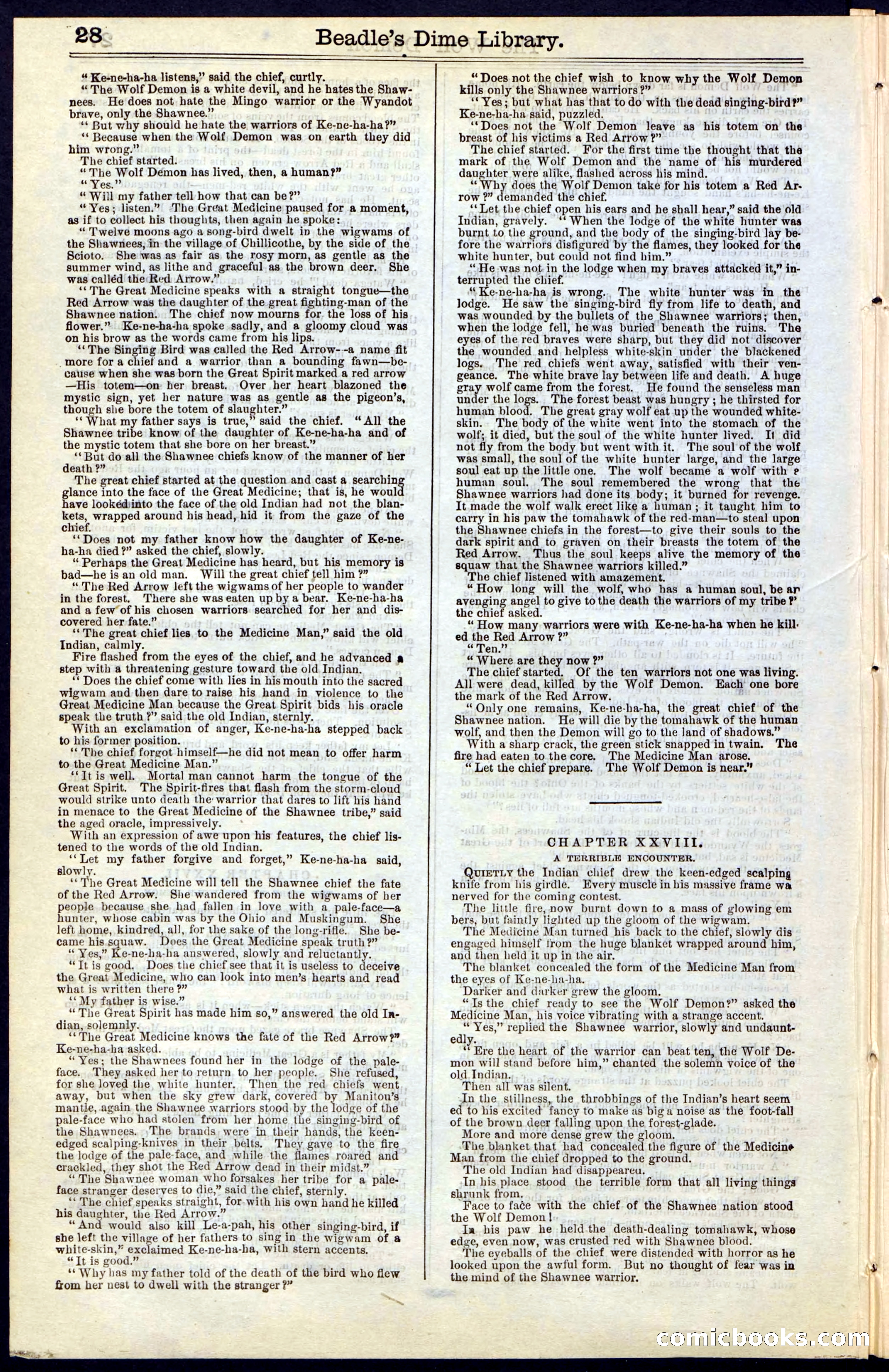 Beadle's New York Dime Library, No. 49 — page 28 of 48