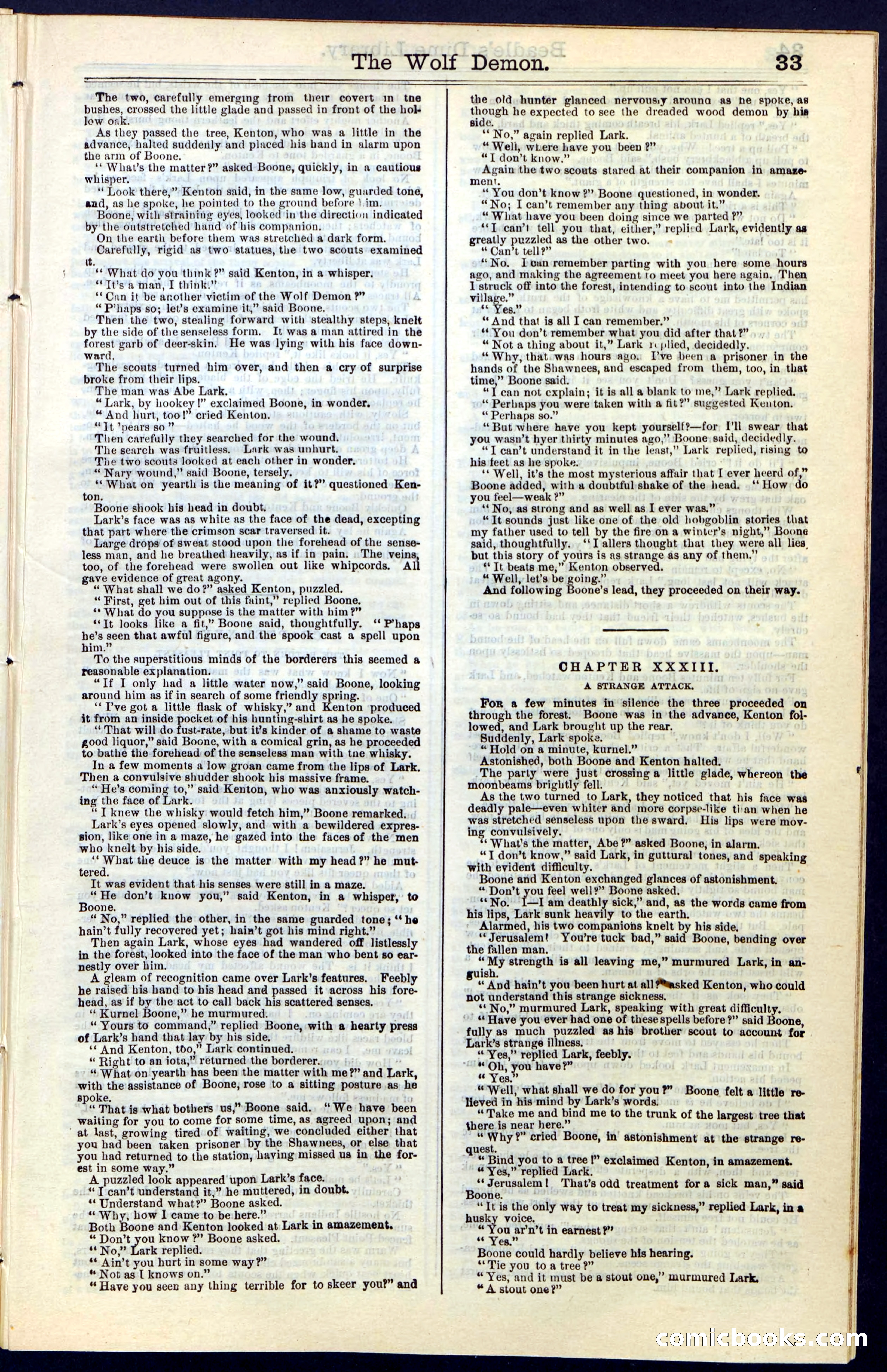 Beadle's New York Dime Library, No. 49 — page 33 of 48