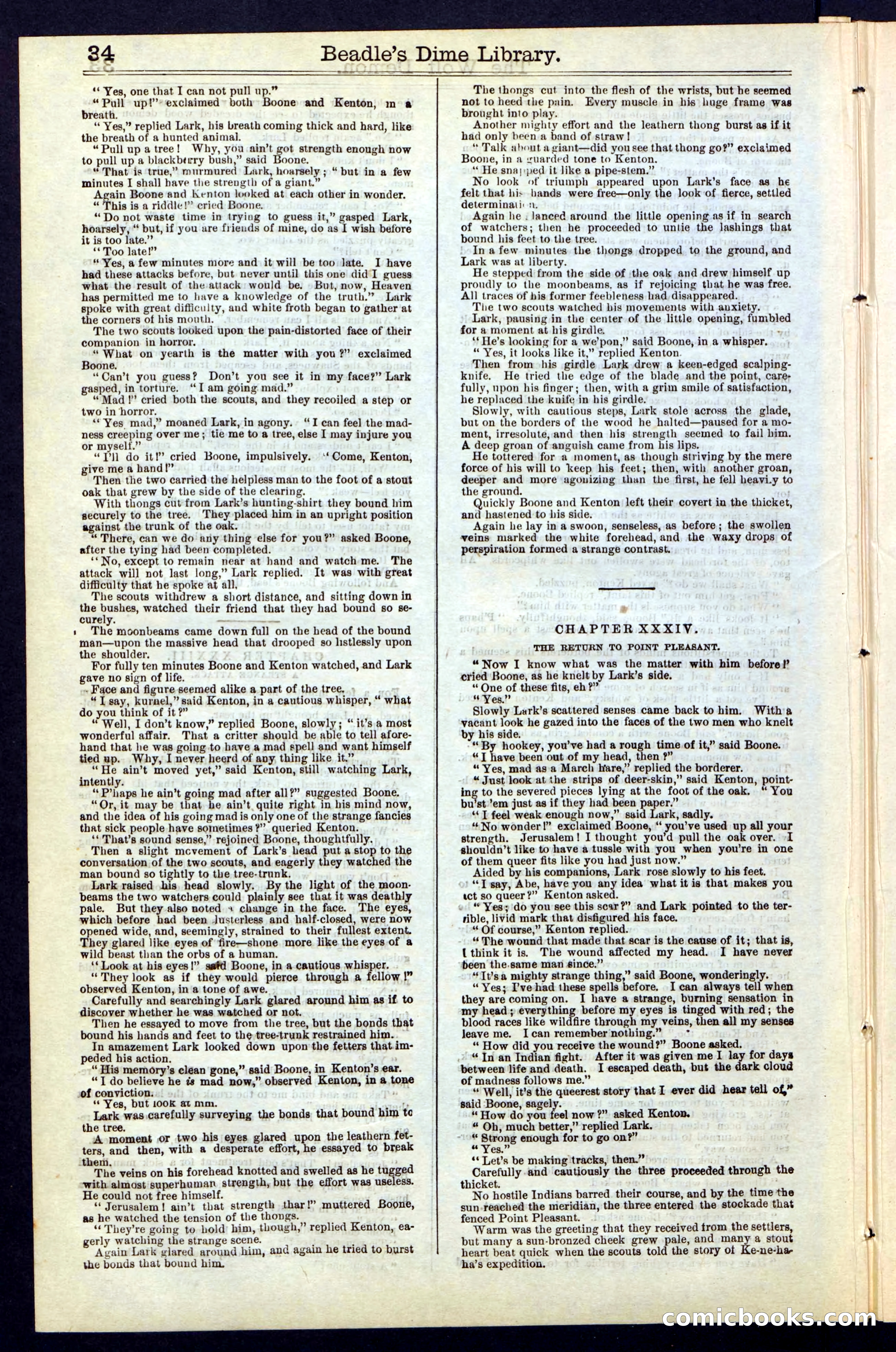 Beadle's New York Dime Library, No. 49 — page 34 of 48
