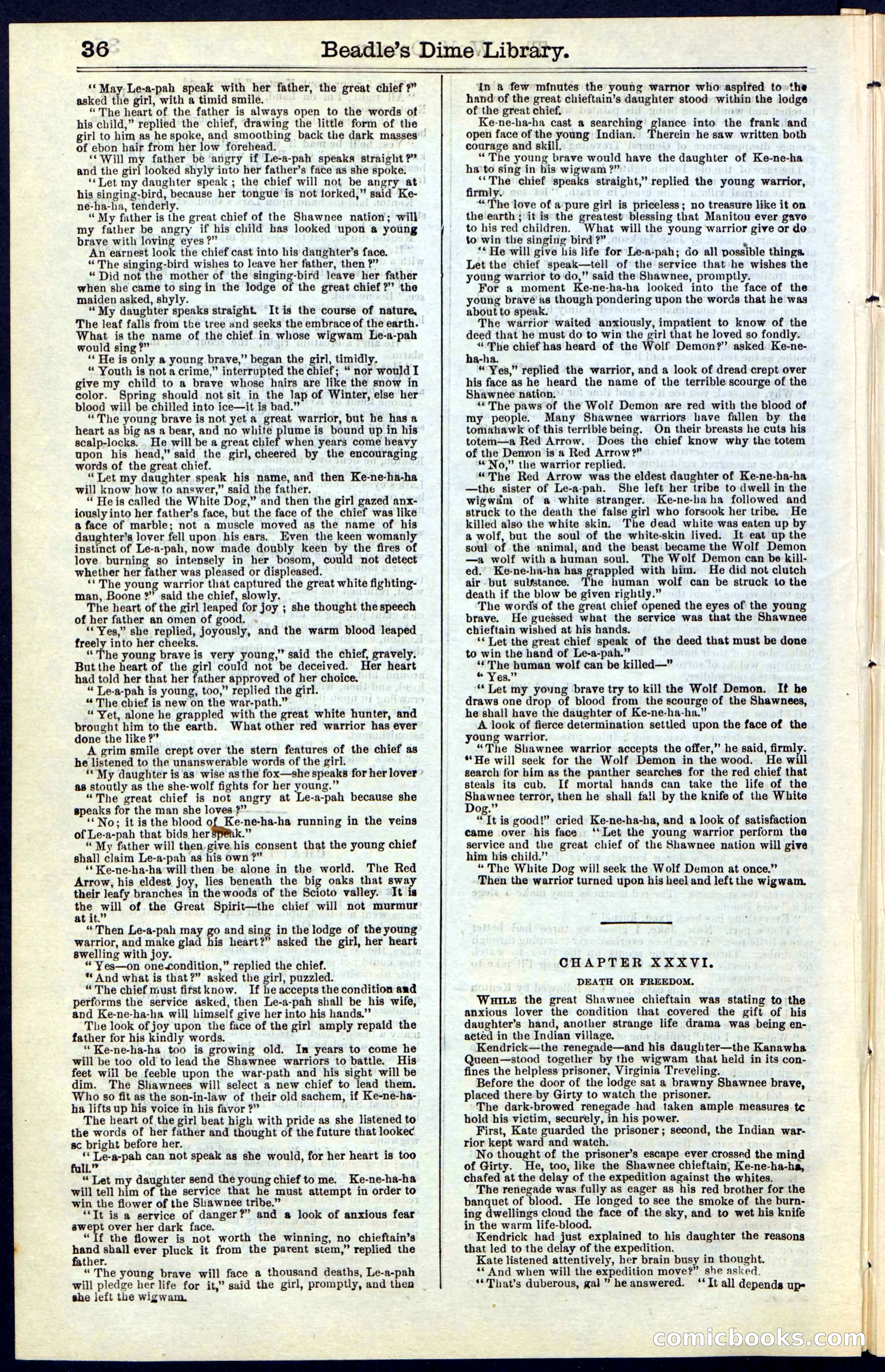 Beadle's New York Dime Library, No. 49 — page 36 of 48