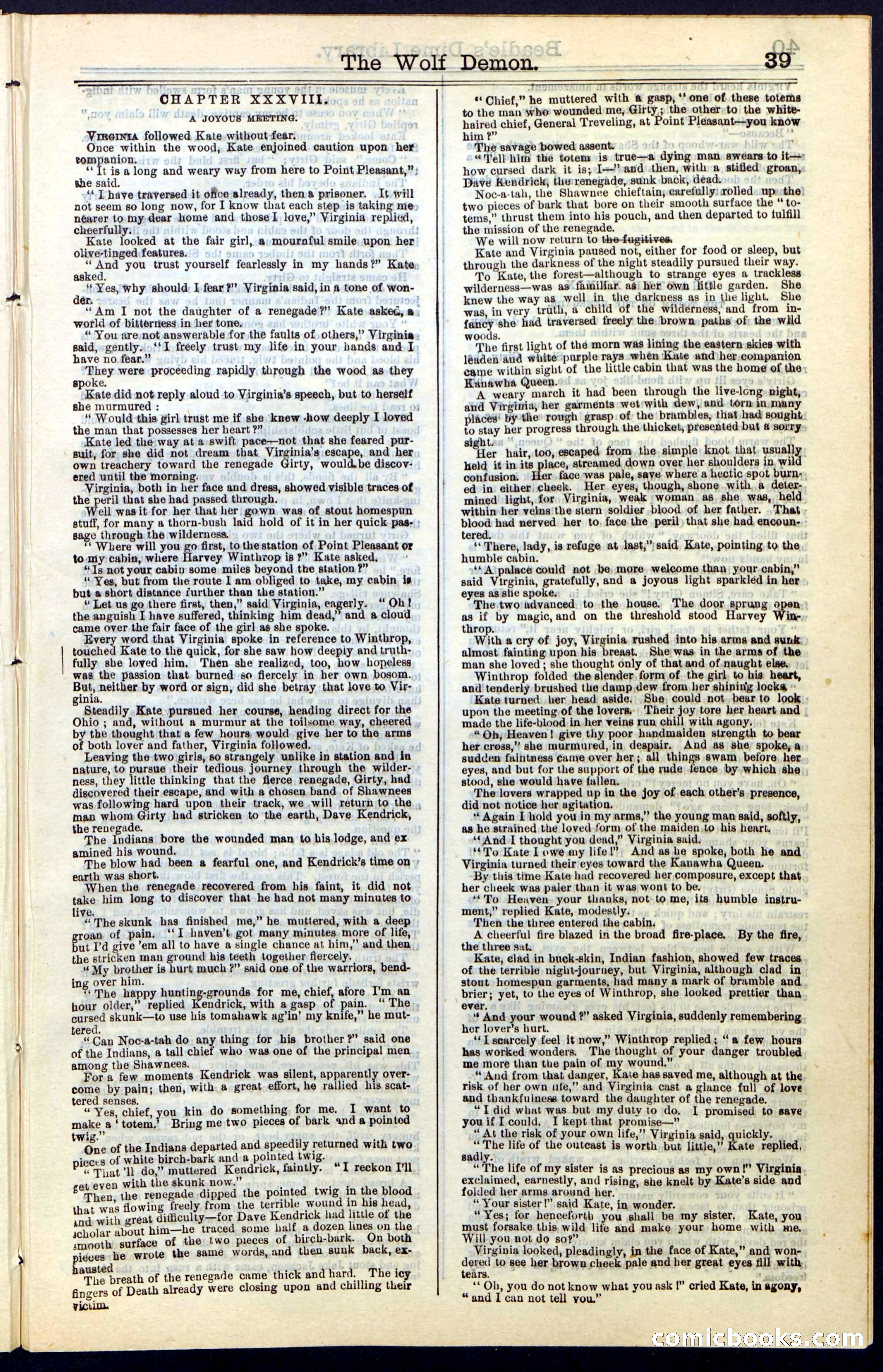 Beadle's New York Dime Library, No. 49 — page 39 of 48