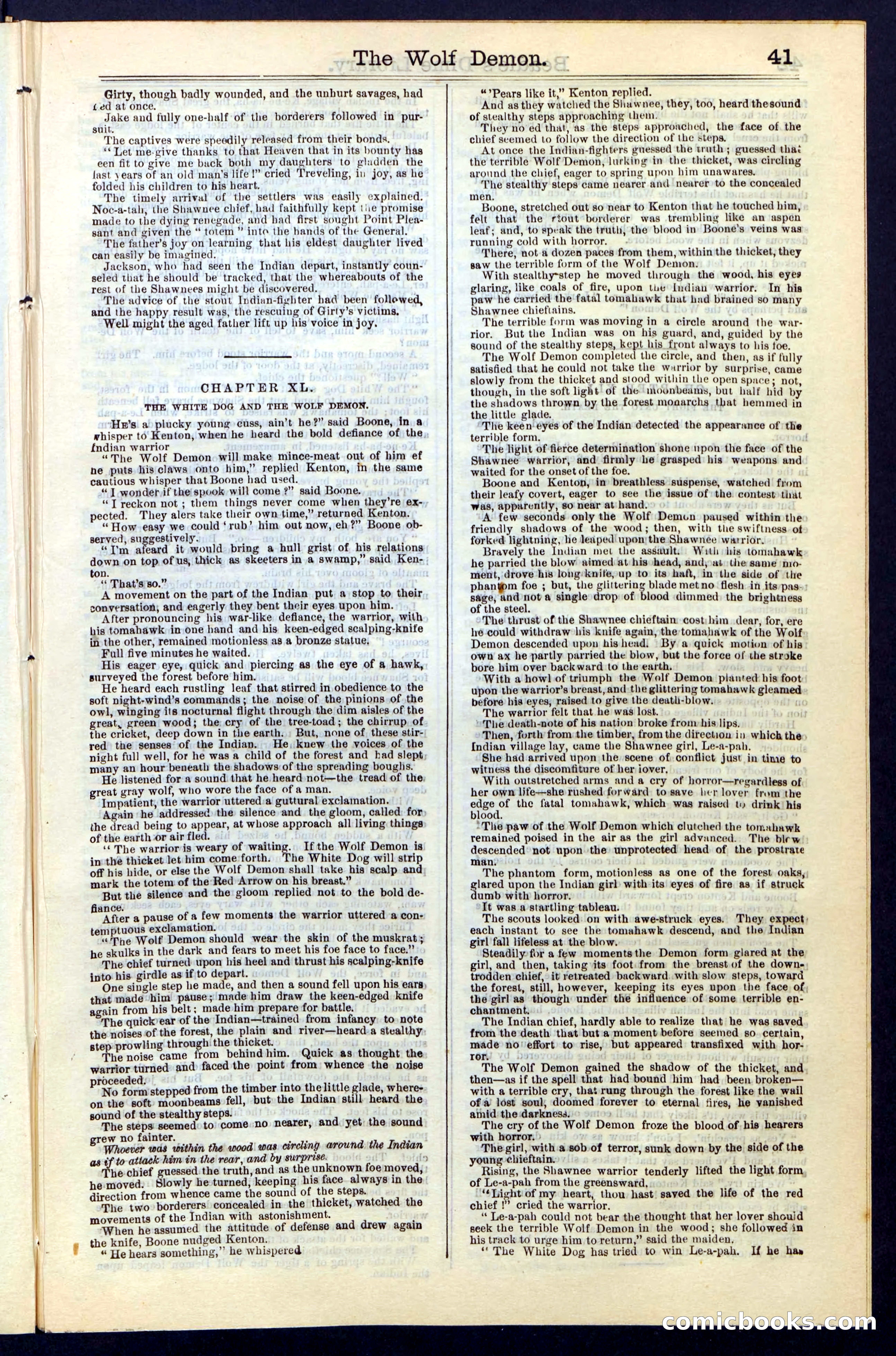 Beadle's New York Dime Library, No. 49 — page 41 of 48