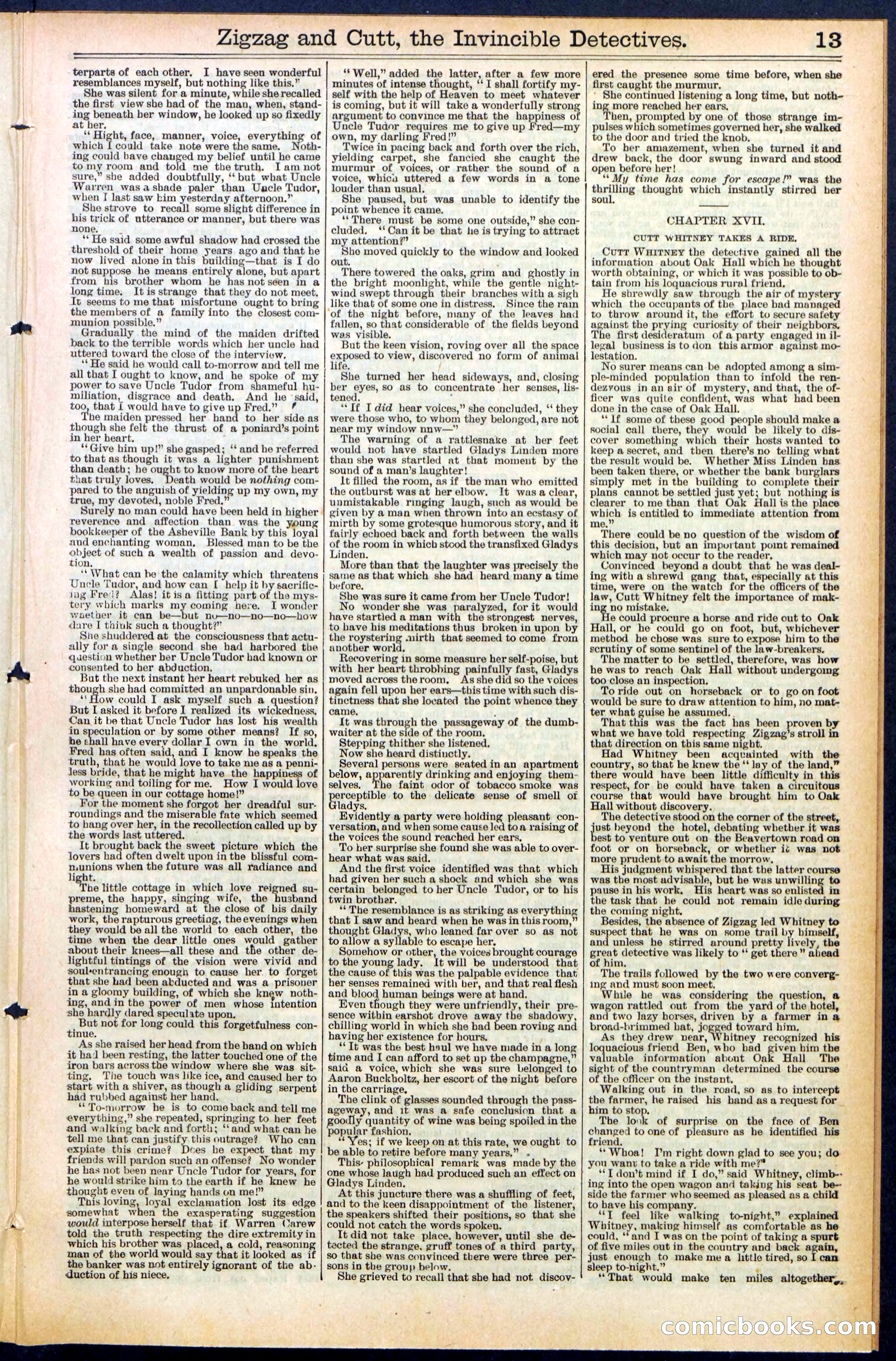 Beadle's New York Dime Library No. 491 — page 13 of 32