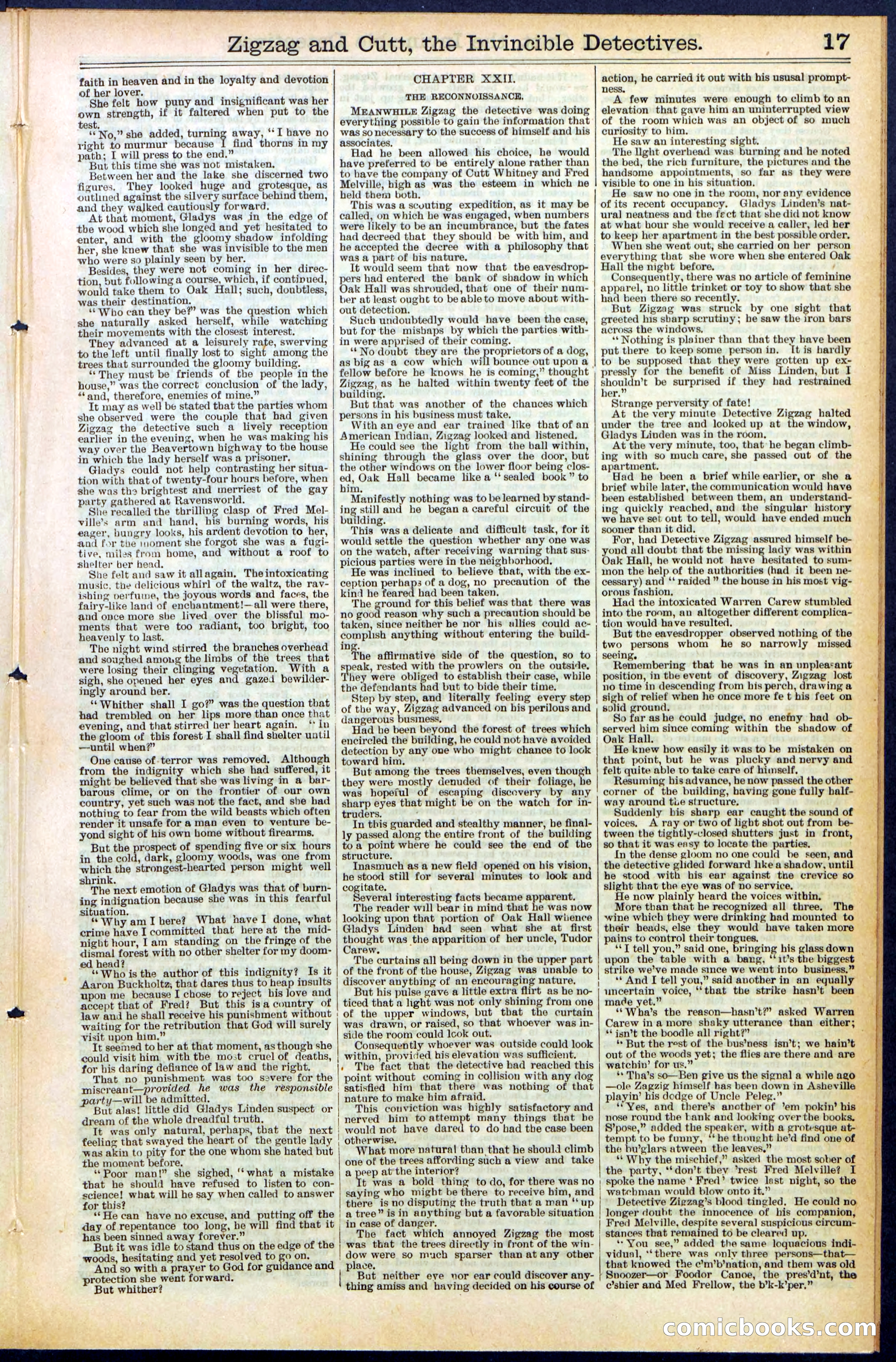 Beadle's New York Dime Library No. 491 — page 17 of 32