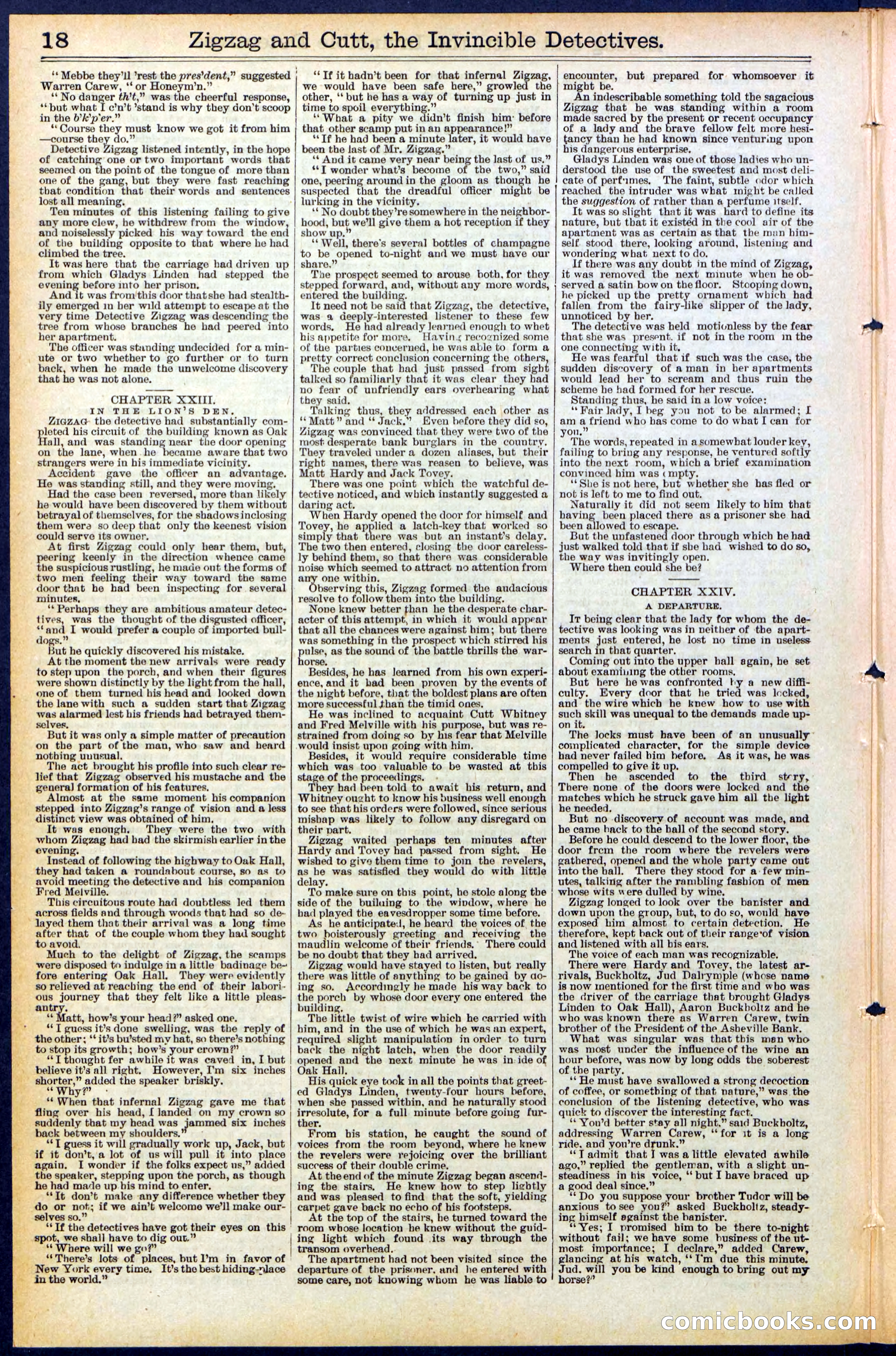 Beadle's New York Dime Library No. 491 — page 18 of 32