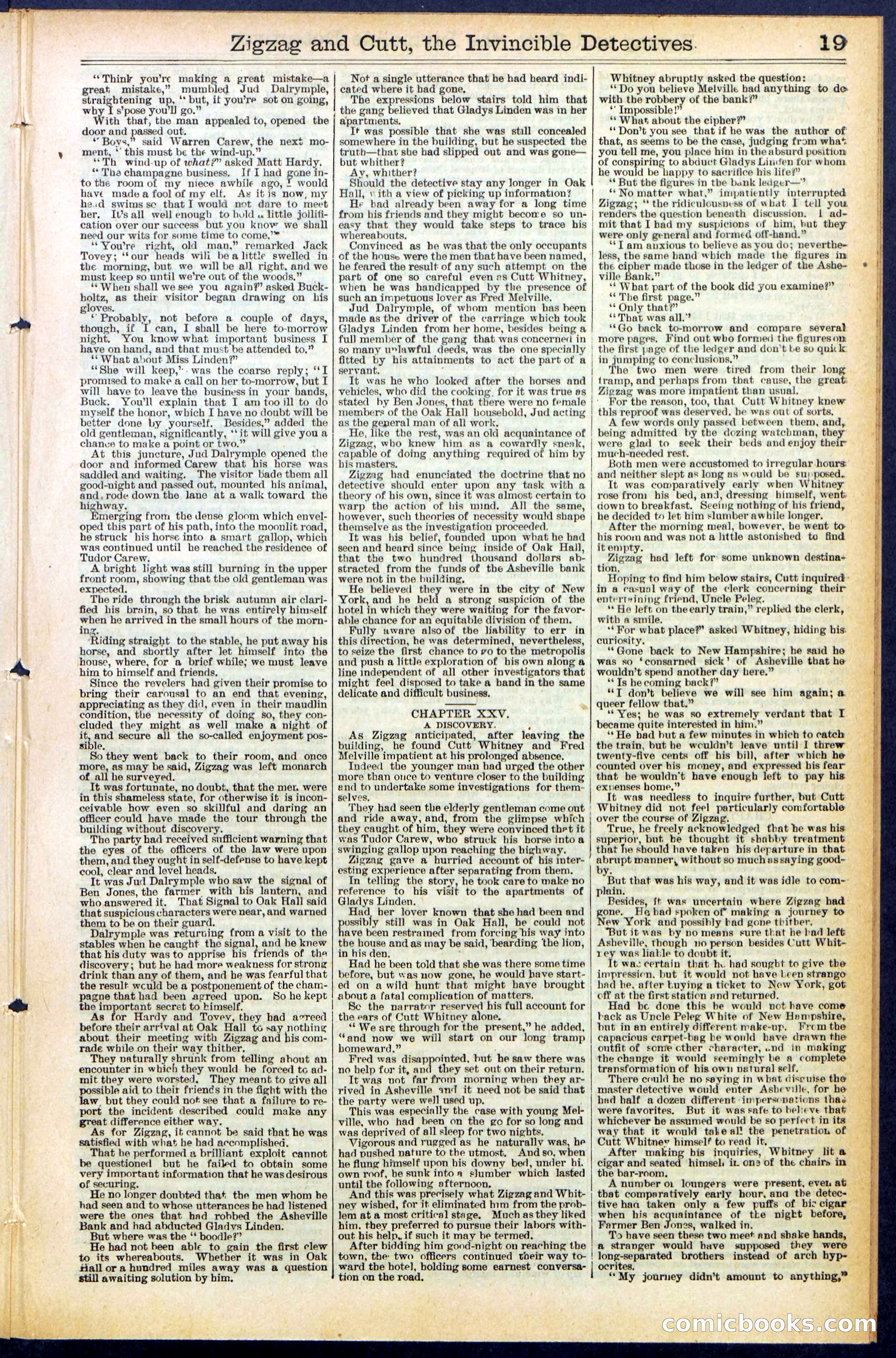 Beadle's New York Dime Library No. 491 — page 19 of 32