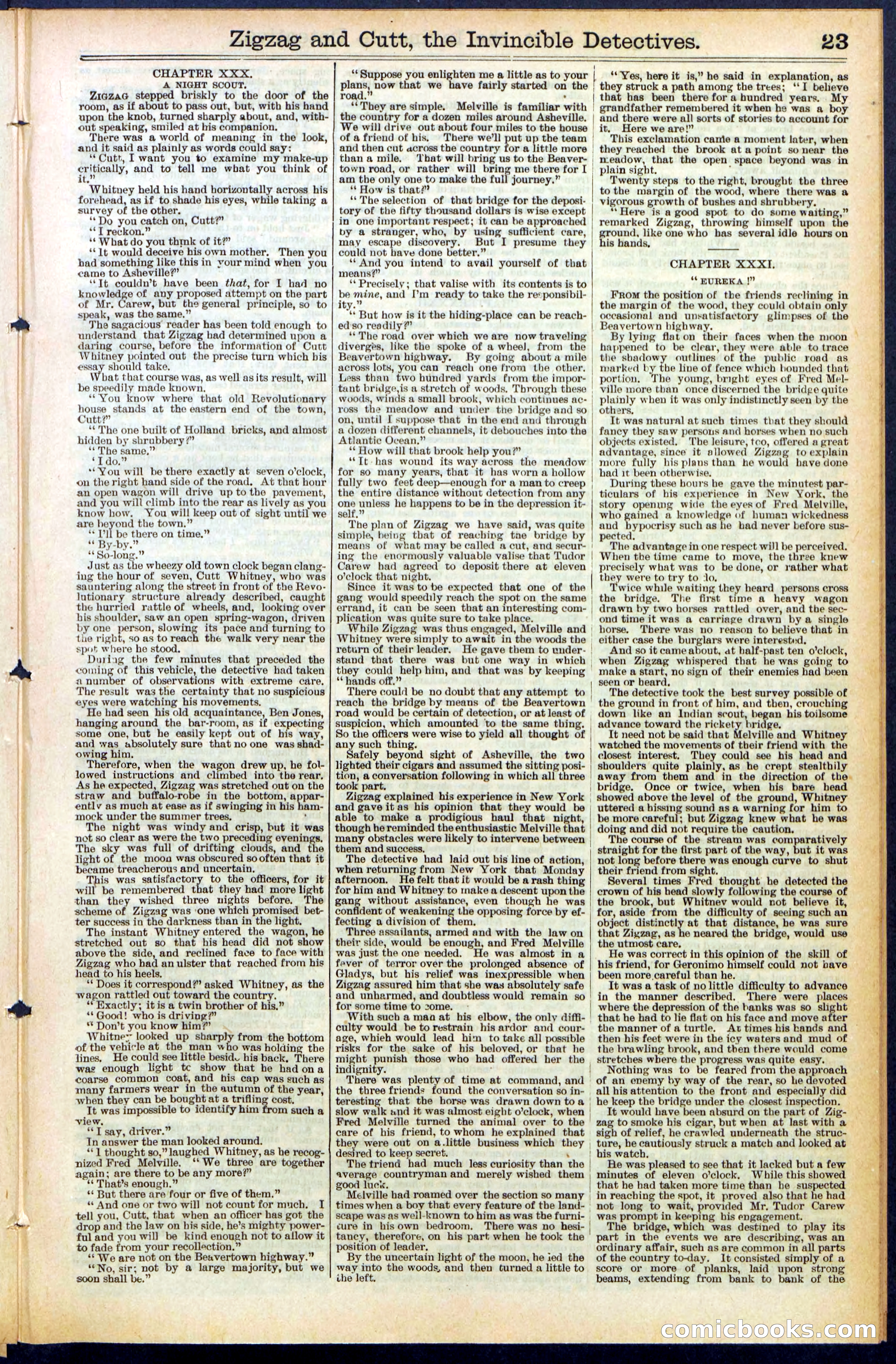 Beadle's New York Dime Library No. 491 — page 23 of 32