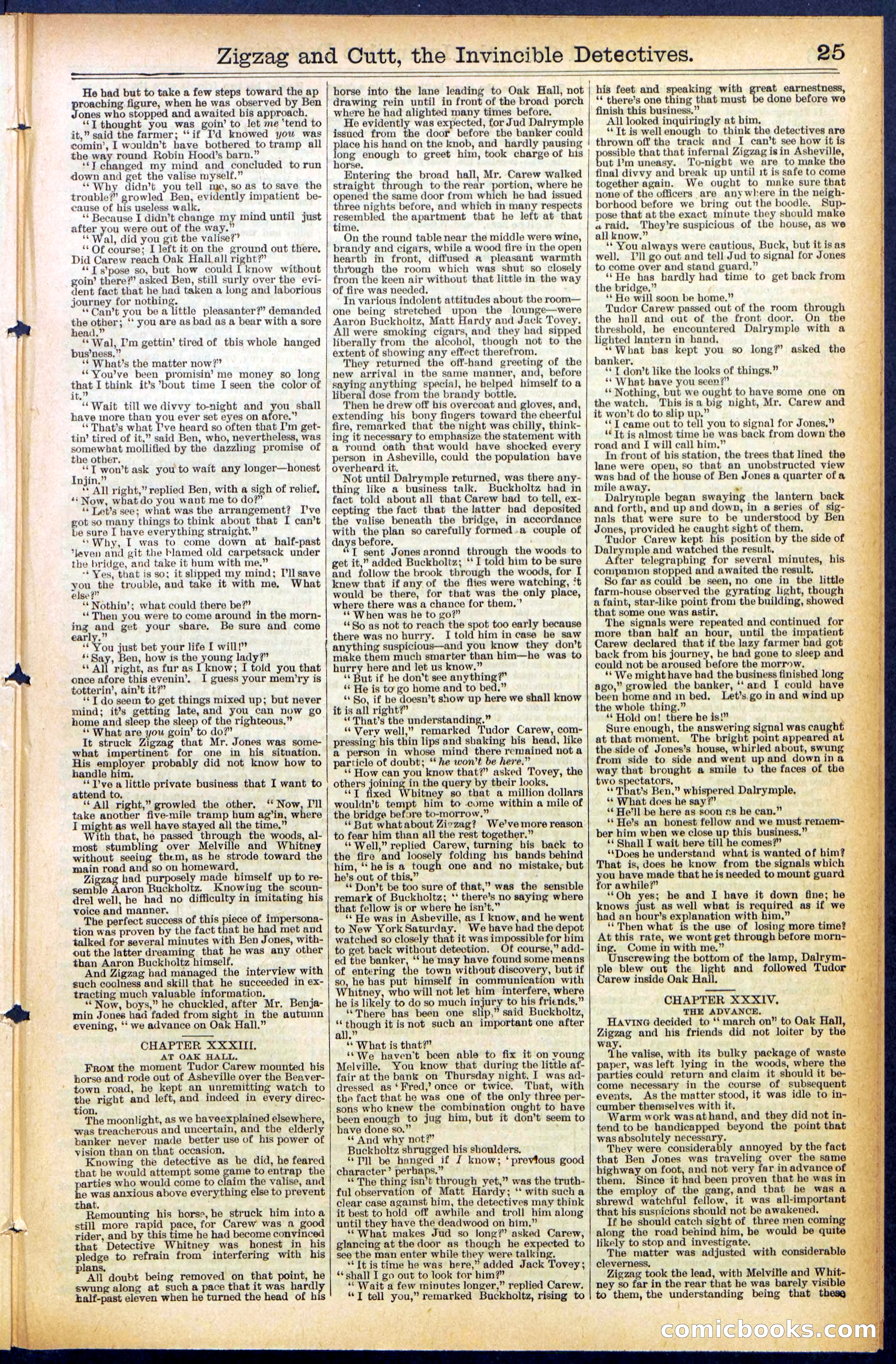 Beadle's New York Dime Library No. 491 — page 25 of 32