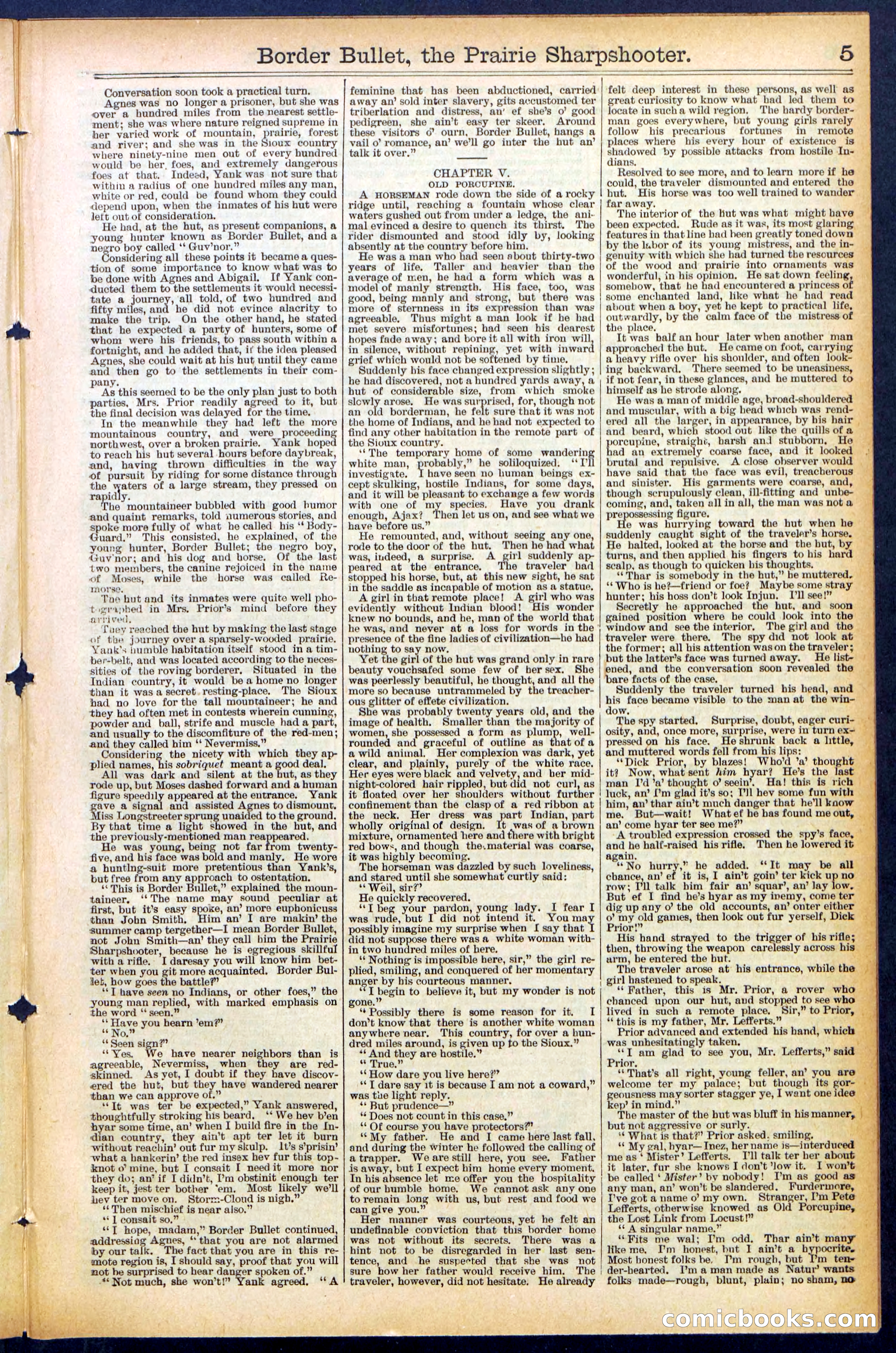 Beadle's New York Dime Library No. 492 — page 5 of 32