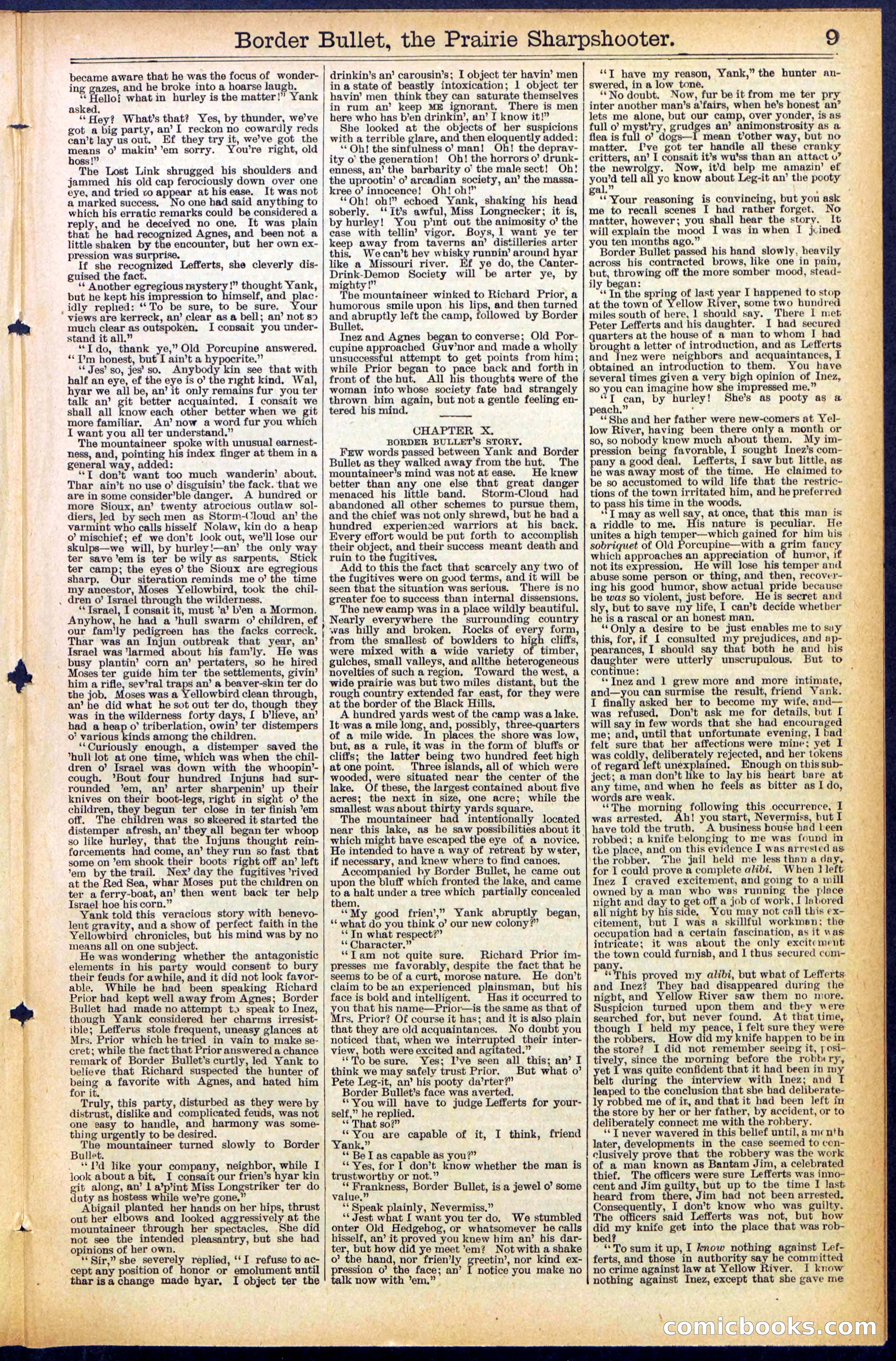 Beadle's New York Dime Library No. 492 — page 9 of 32