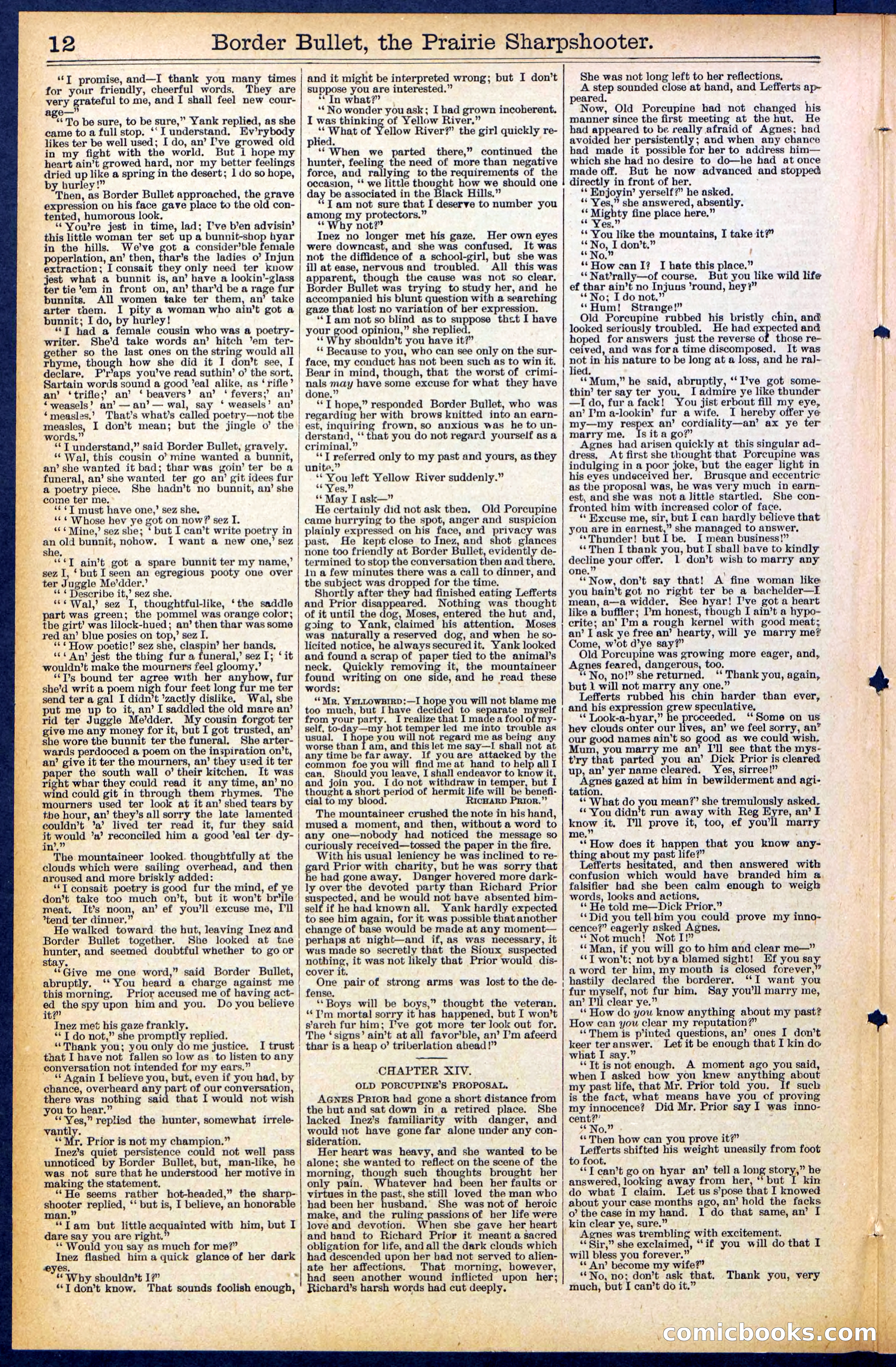 Beadle's New York Dime Library No. 492 — page 12 of 32