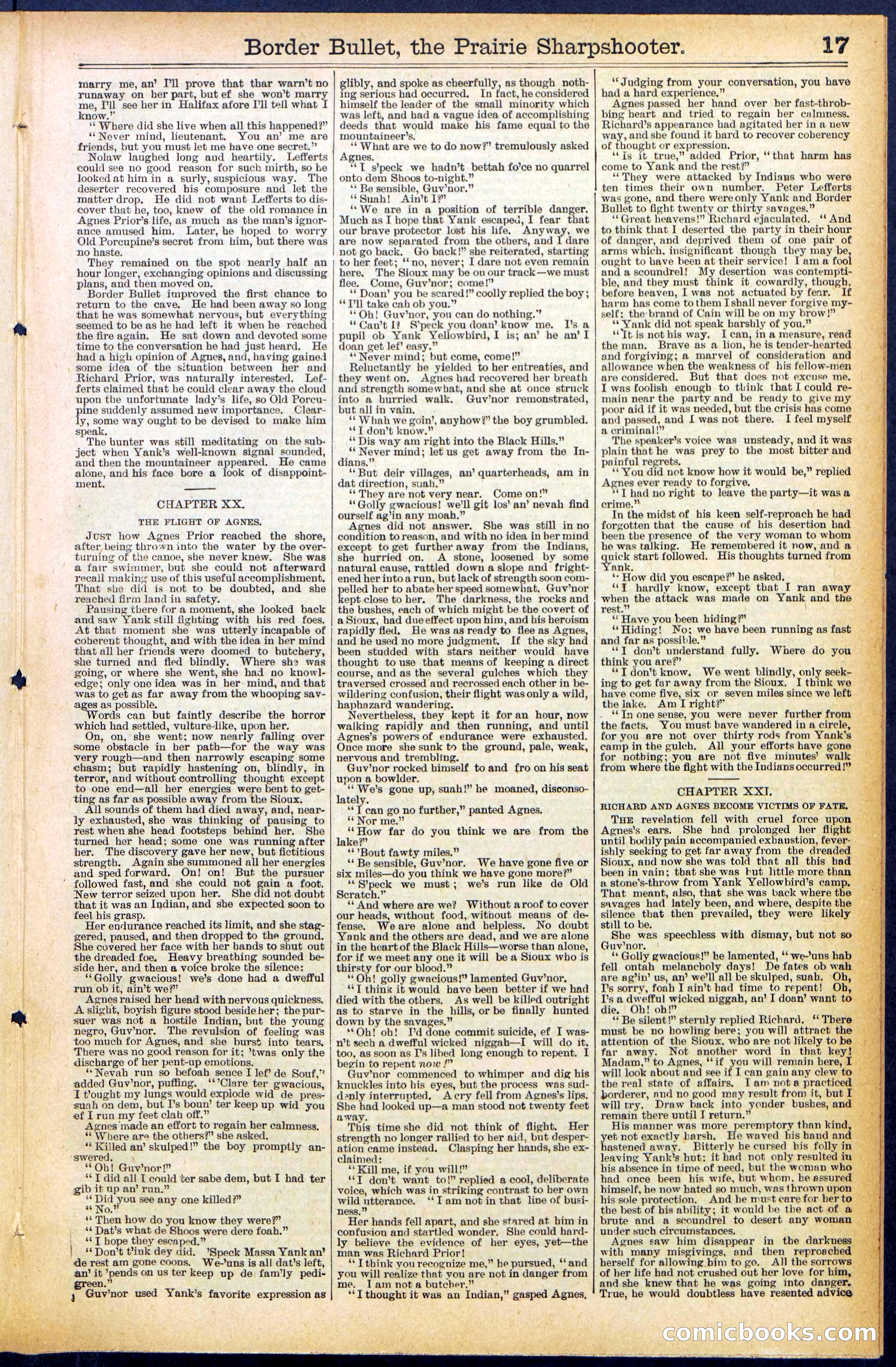 Beadle's New York Dime Library No. 492 — page 17 of 32