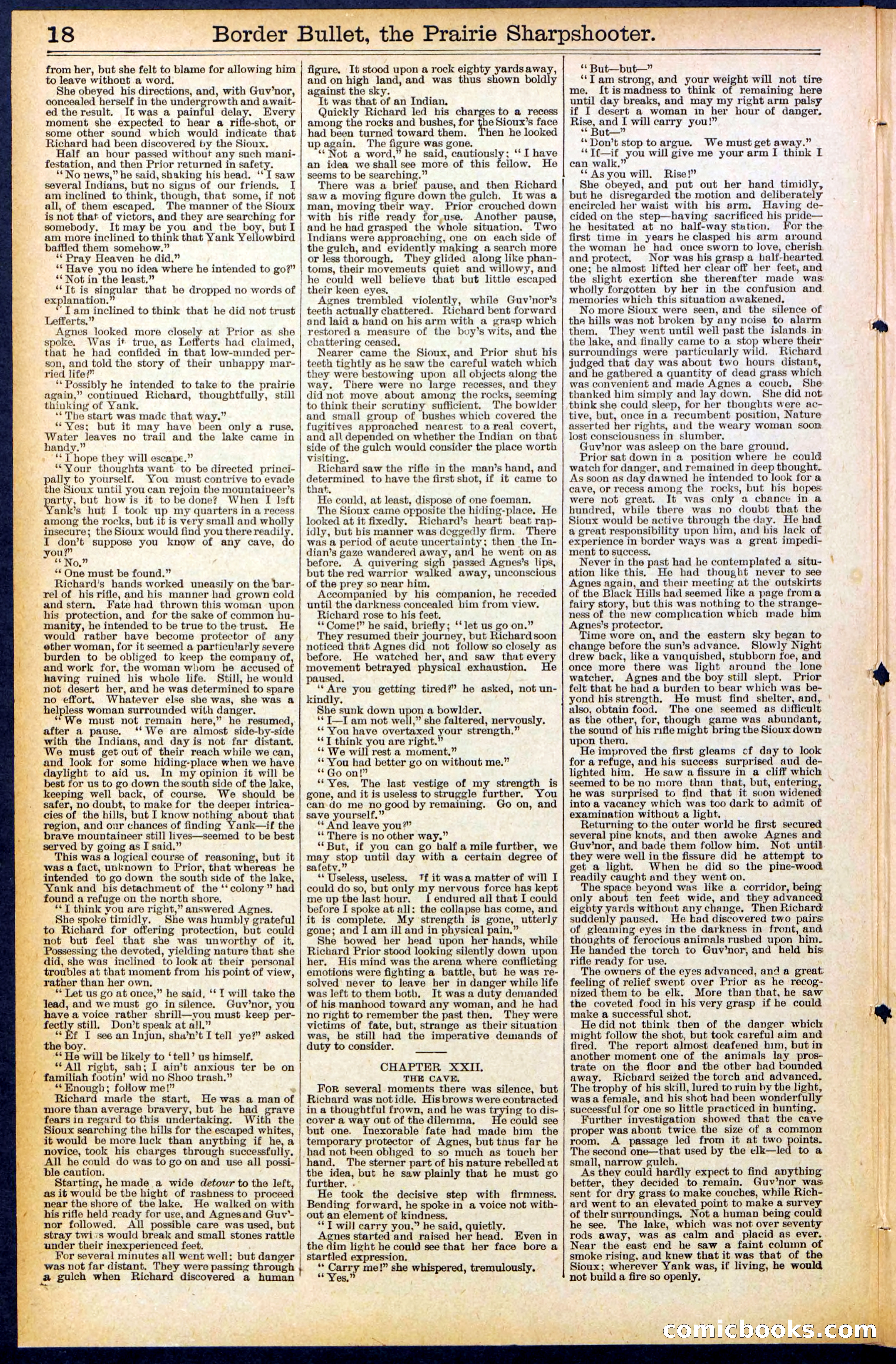 Beadle's New York Dime Library No. 492 — page 18 of 32