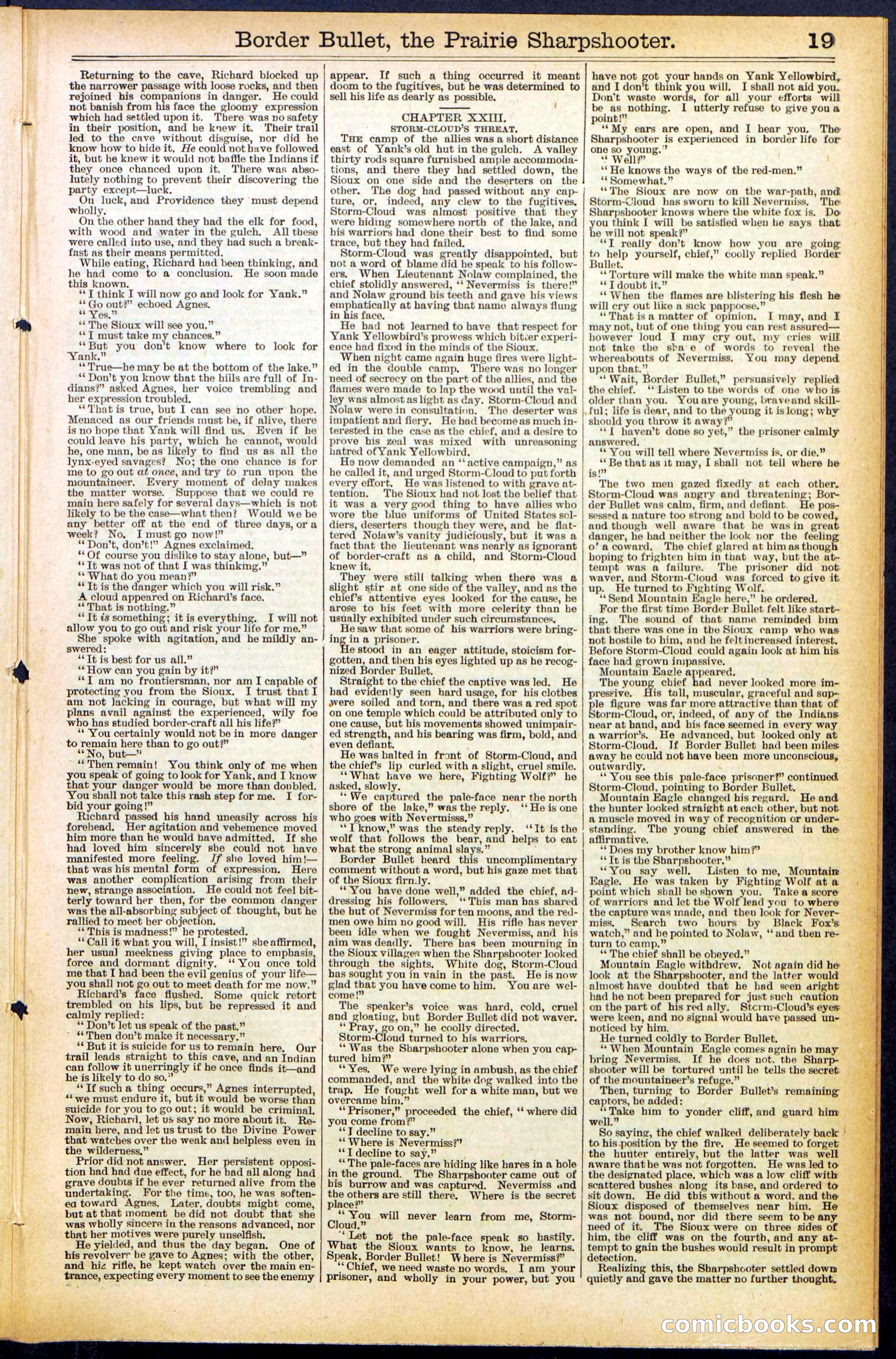 Beadle's New York Dime Library No. 492 — page 19 of 32