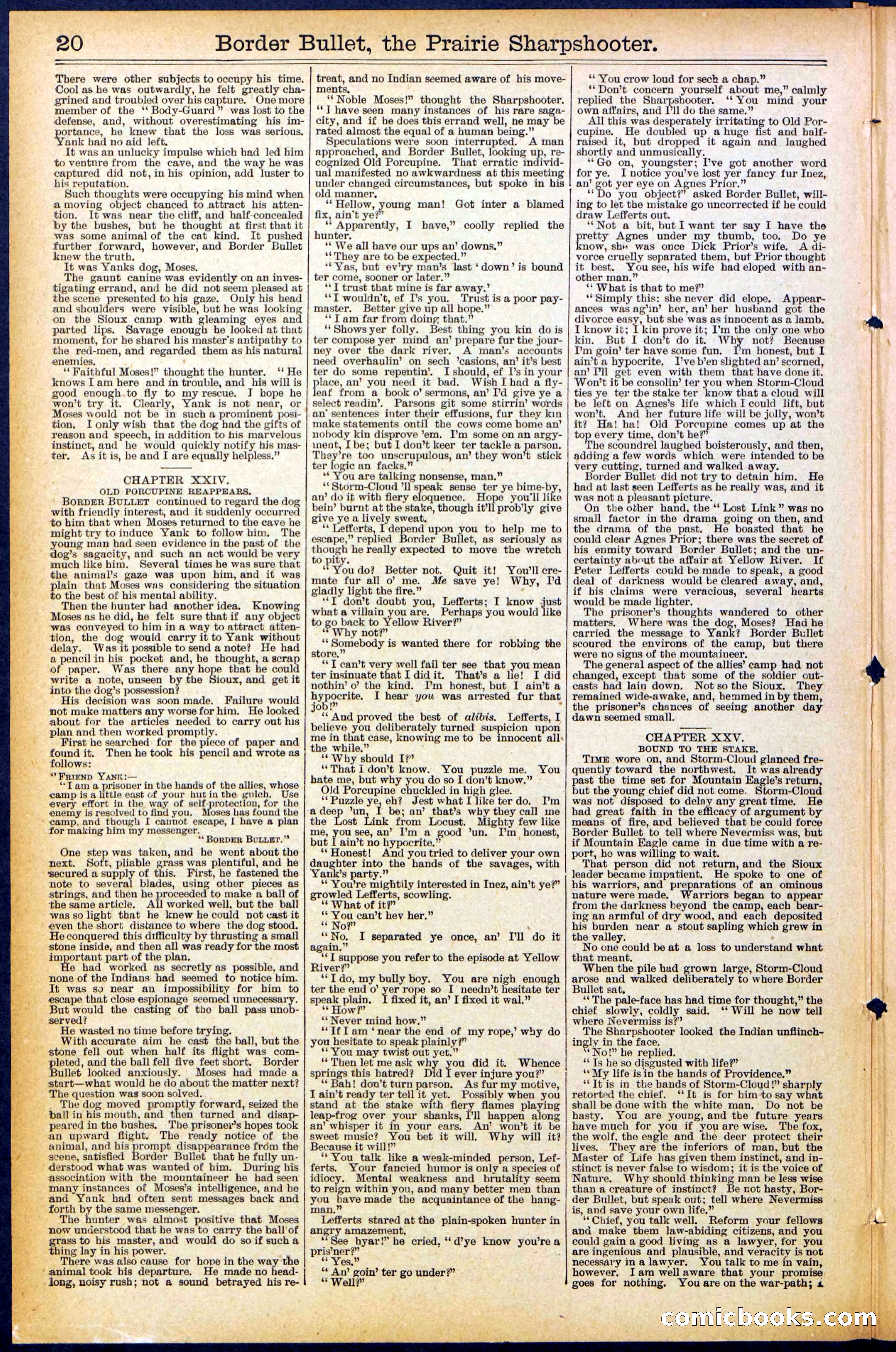 Beadle's New York Dime Library No. 492 — page 20 of 32